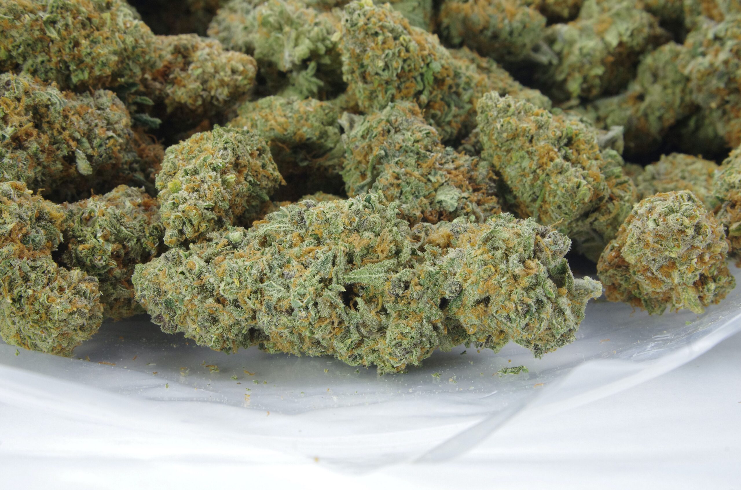 Pink Grapefruit All Strains Pink Grapefruit All Strains