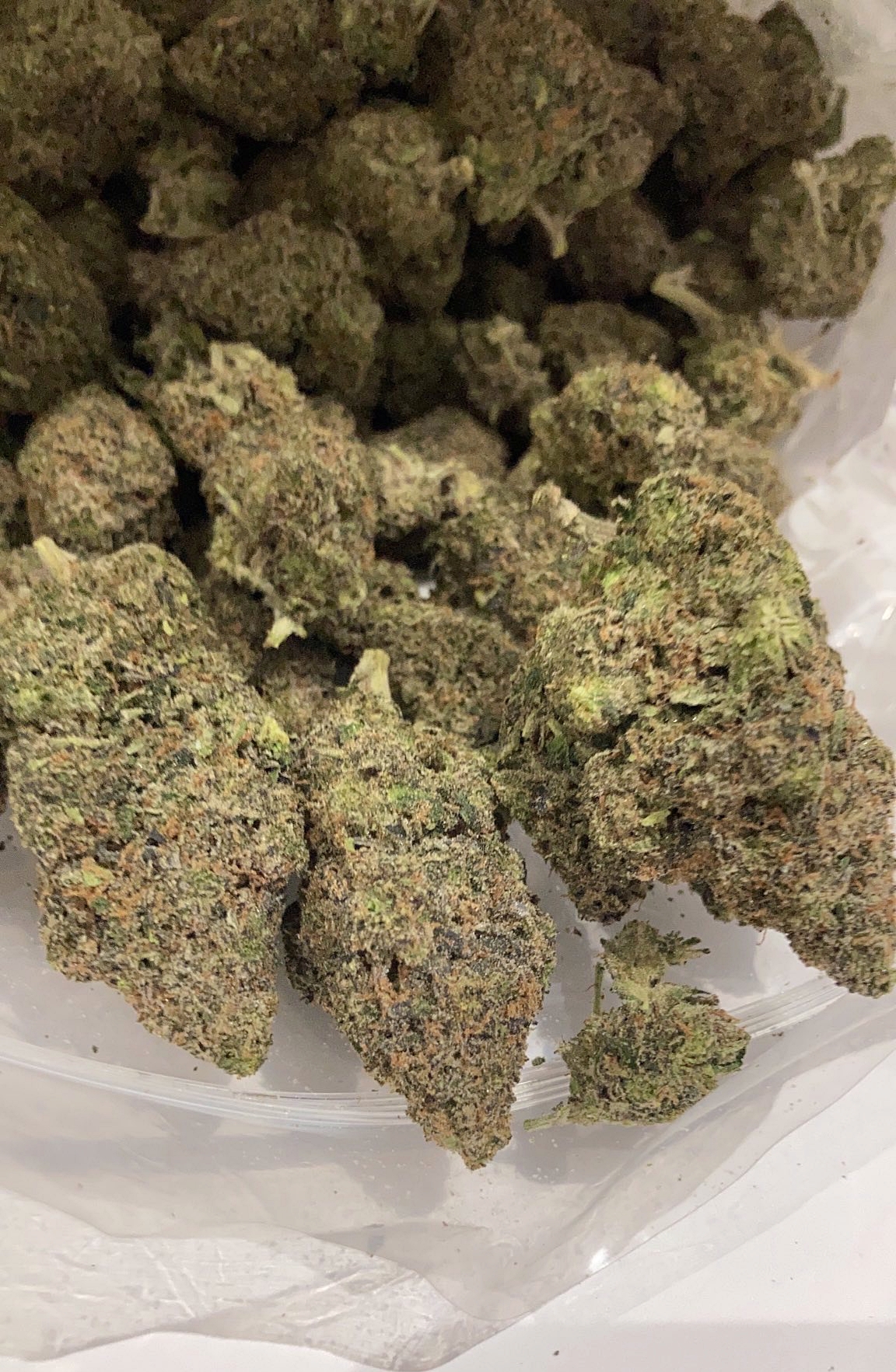 Pink Star (QP) Wholesale Flower anti-anxiety Pink Star (QP) Wholesale Flower anti-anxiety