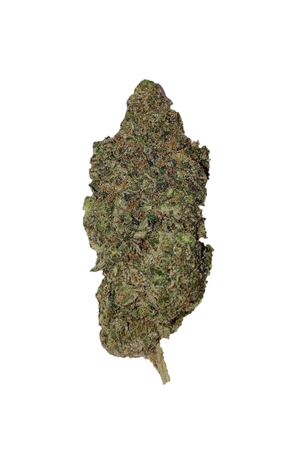 Pink Star (QP) Wholesale Flower anti-anxiety Pink Star (QP) Wholesale Flower anti-anxiety