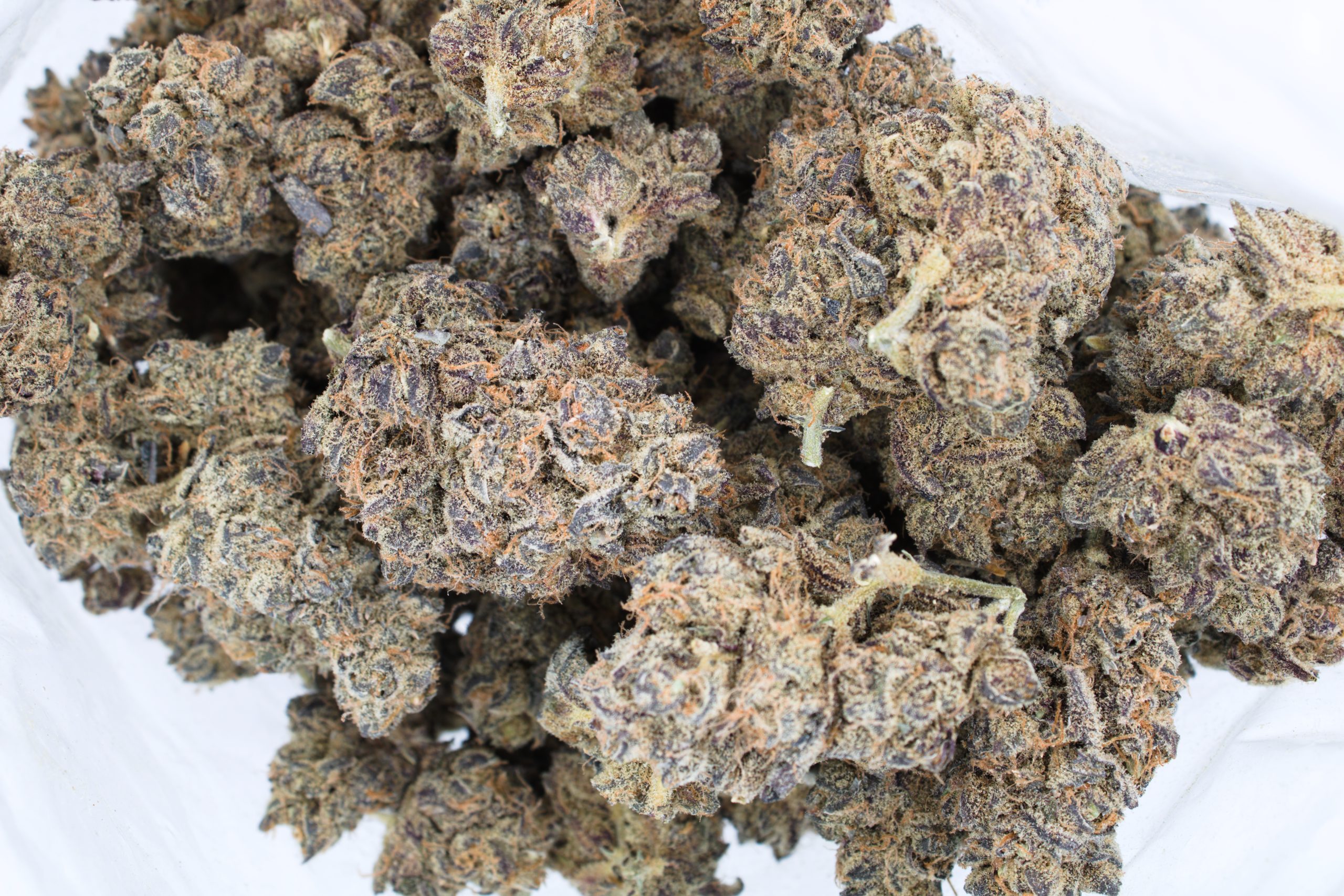 Punch Breath (Bulk) Wholesale Flower anti-anxiety Punch Breath (Bulk) Wholesale Flower anti-anxiety