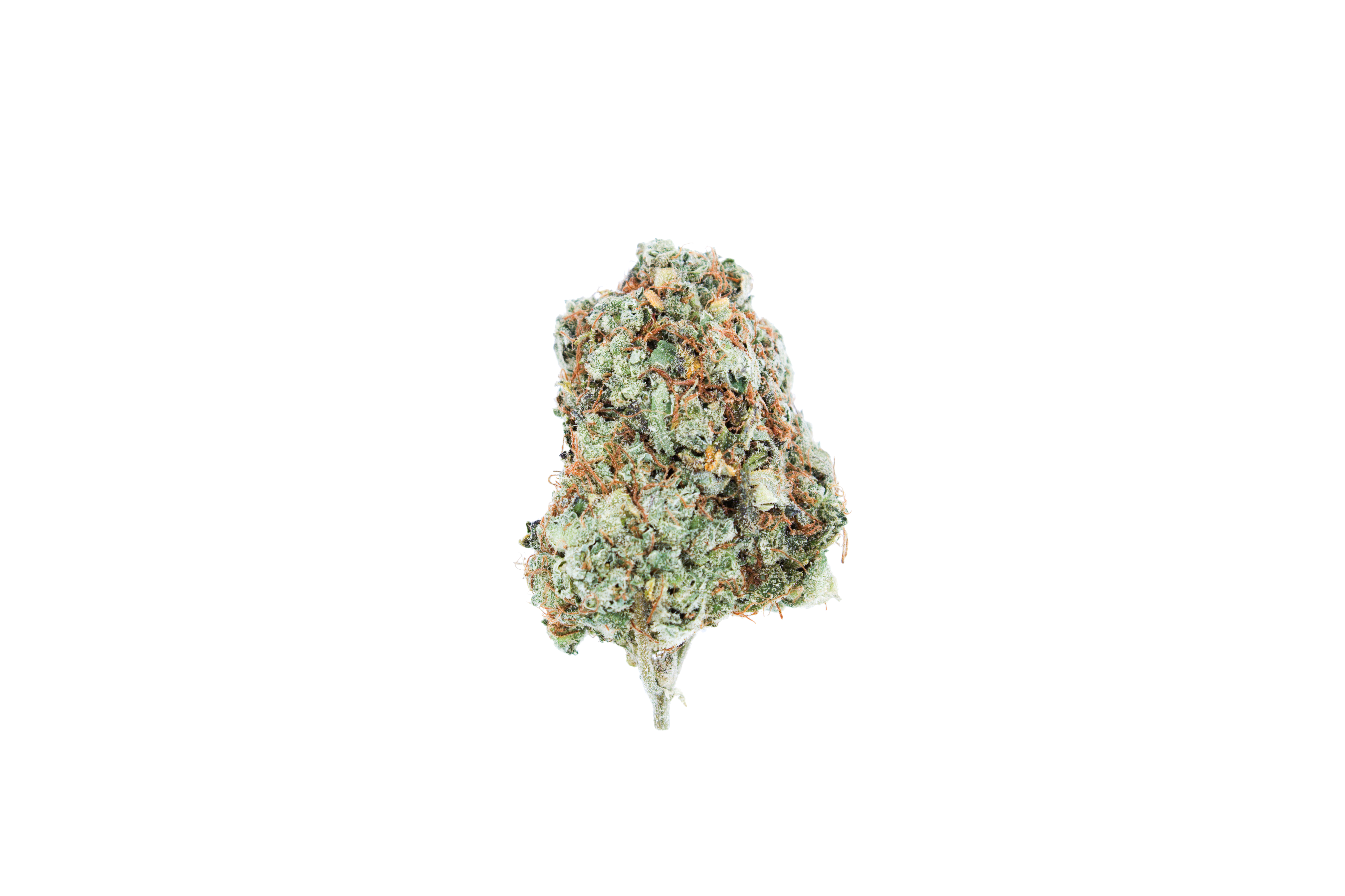 Romulan (Bulk) Wholesale Flower anxiety Romulan (Bulk) Wholesale Flower anxiety