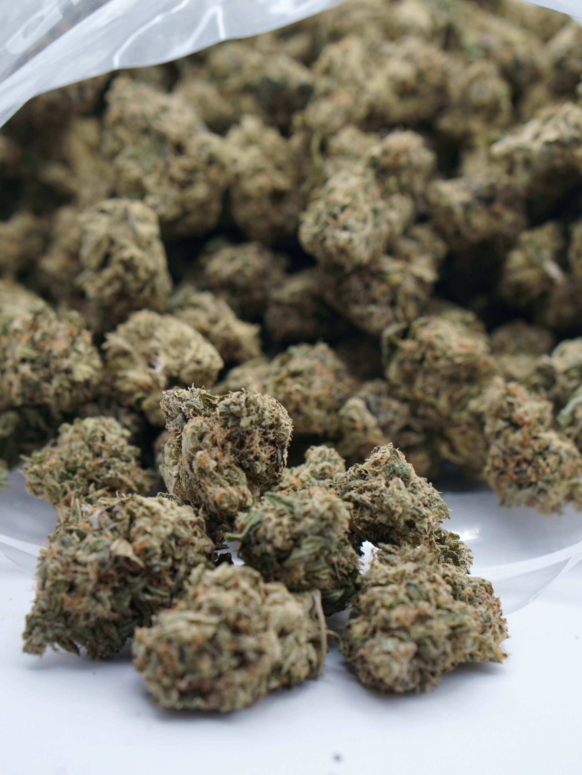 Watermelon Gas (QP) Indica Watermelon Gas (QP) Indica