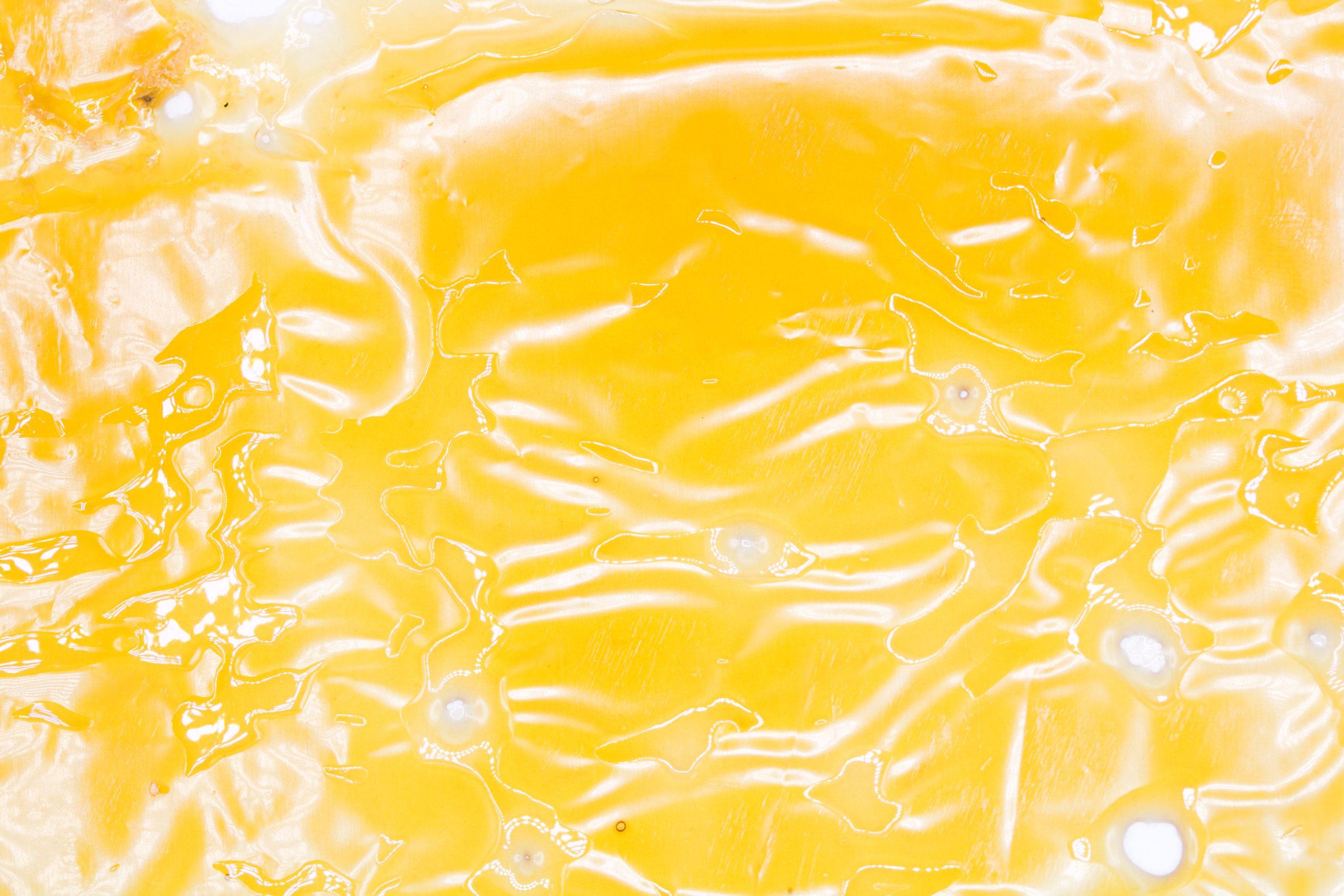 Forbidden Fruit Shatter Shatter Forbidden Fruit Shatter Shatter