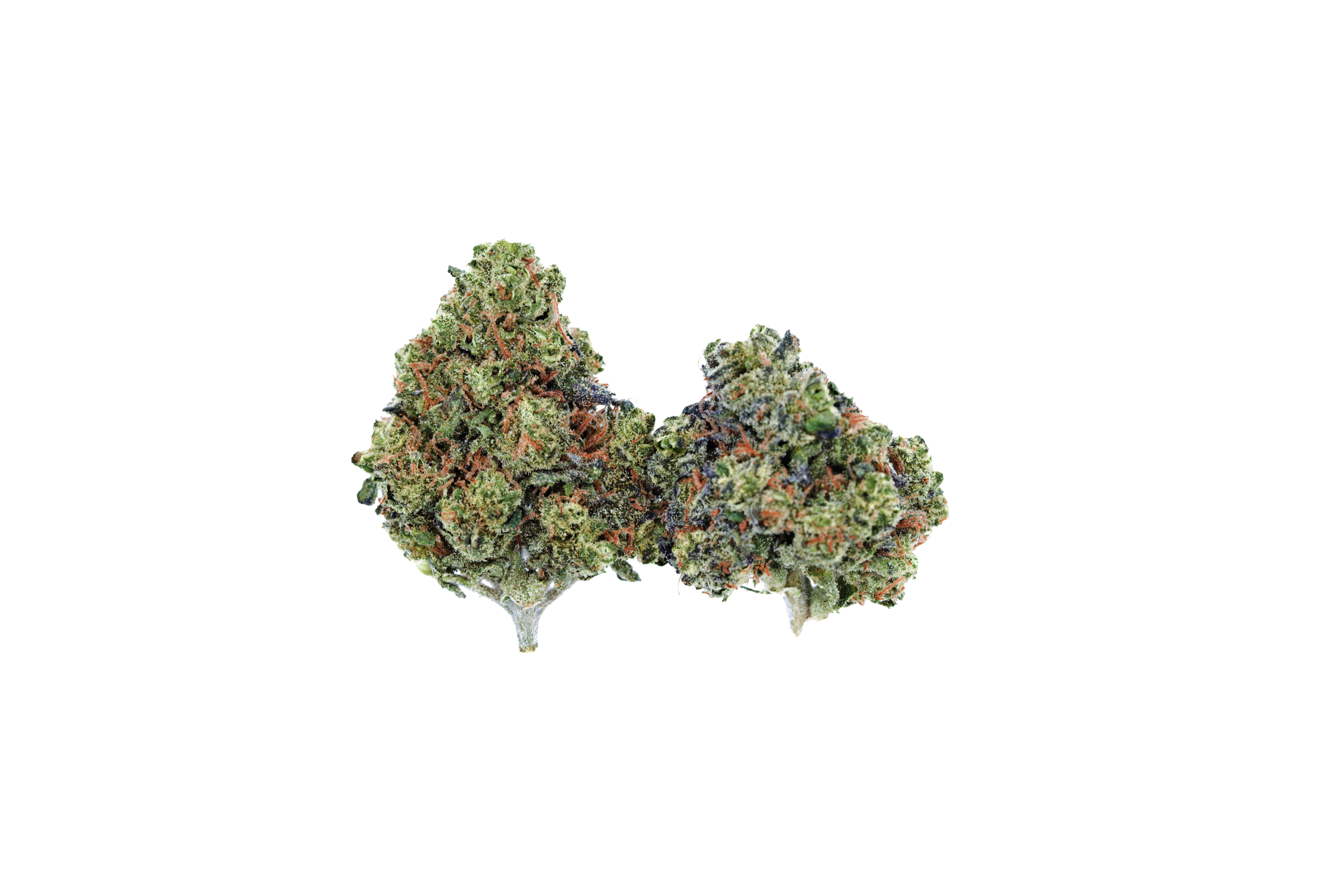 OG Chem Smalls Indica anxiety OG Chem Smalls Indica anxiety