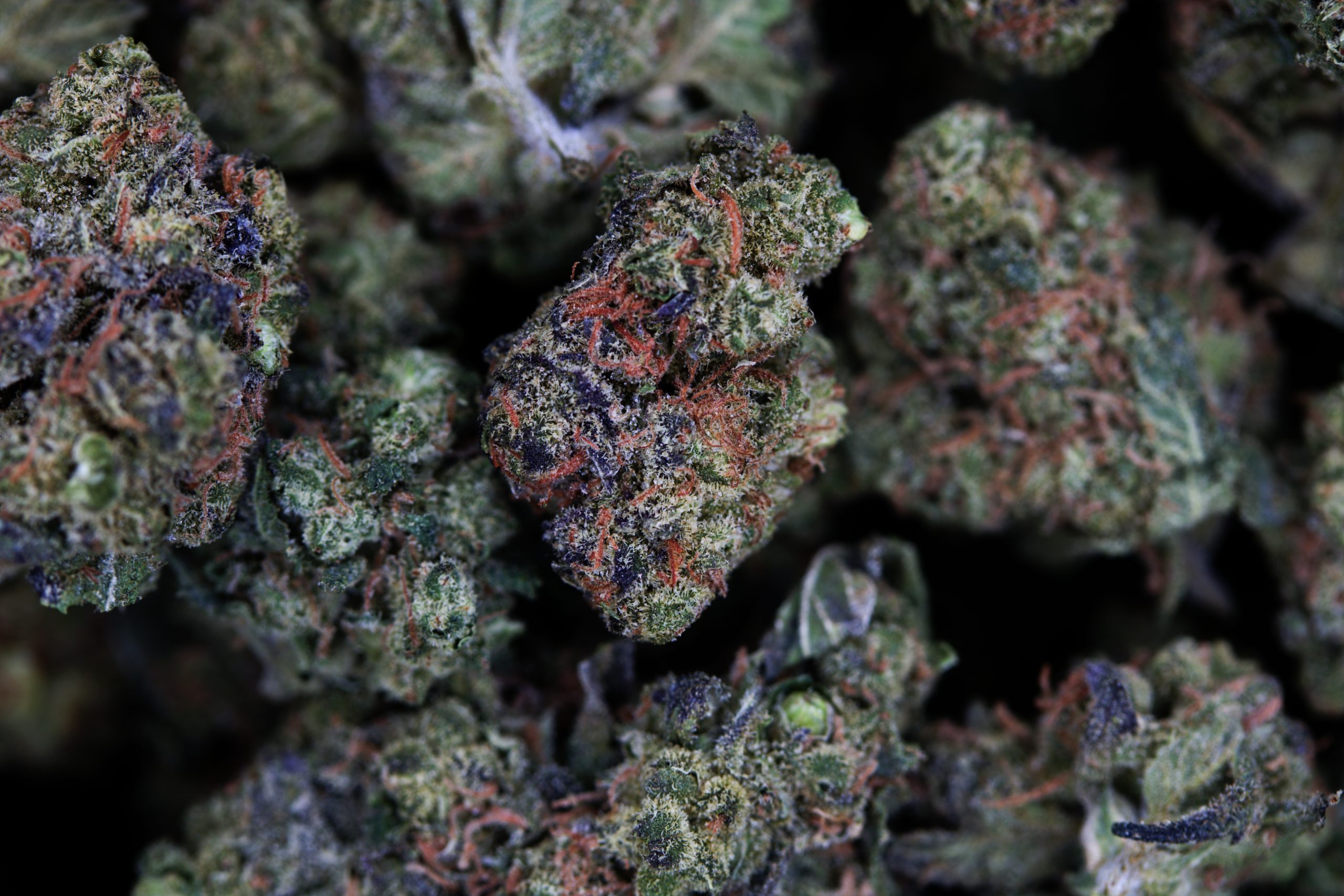 OG Chem Smalls Indica anxiety OG Chem Smalls Indica anxiety