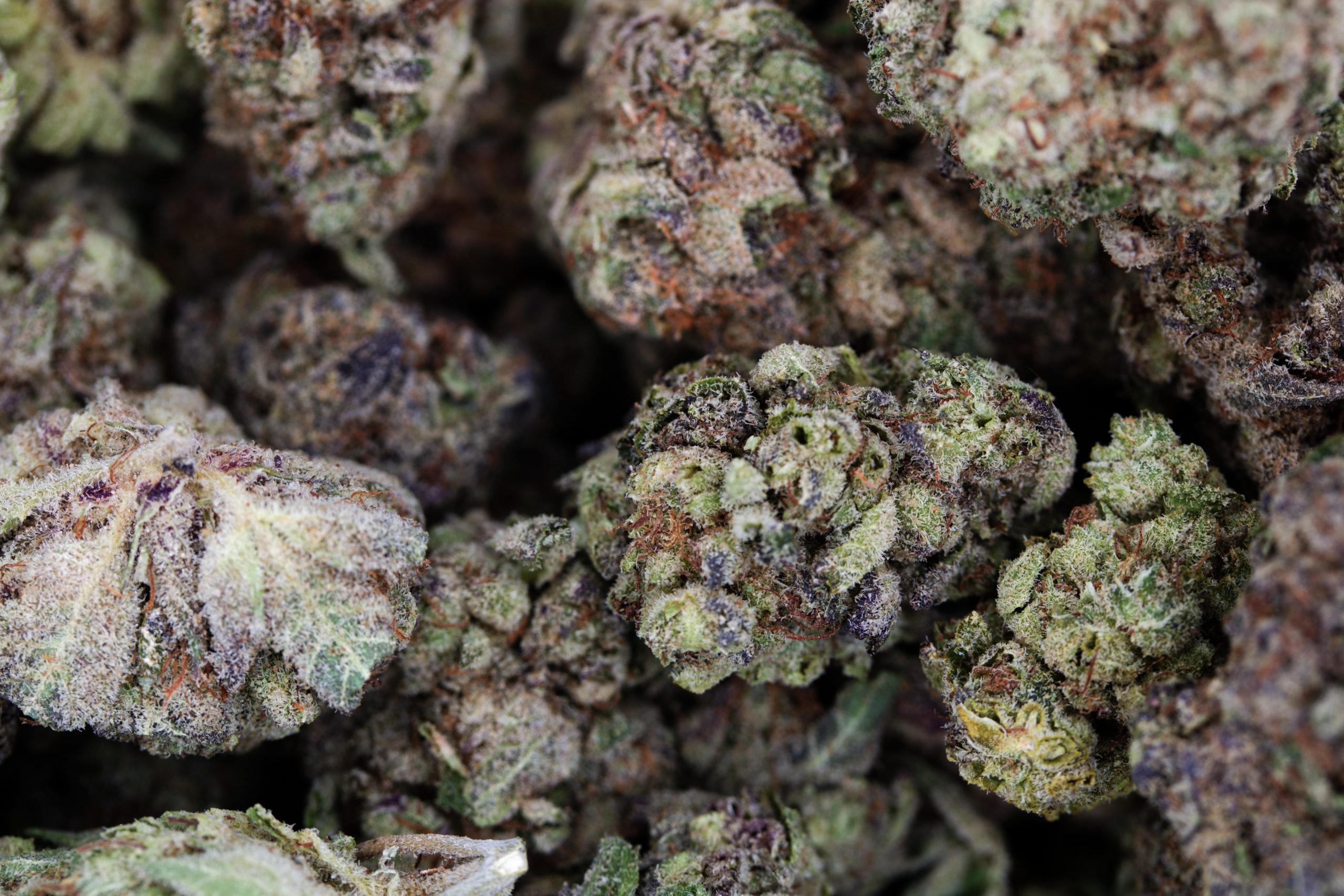 Rockstar Punch All Strains anxiety Rockstar Punch All Strains anxiety