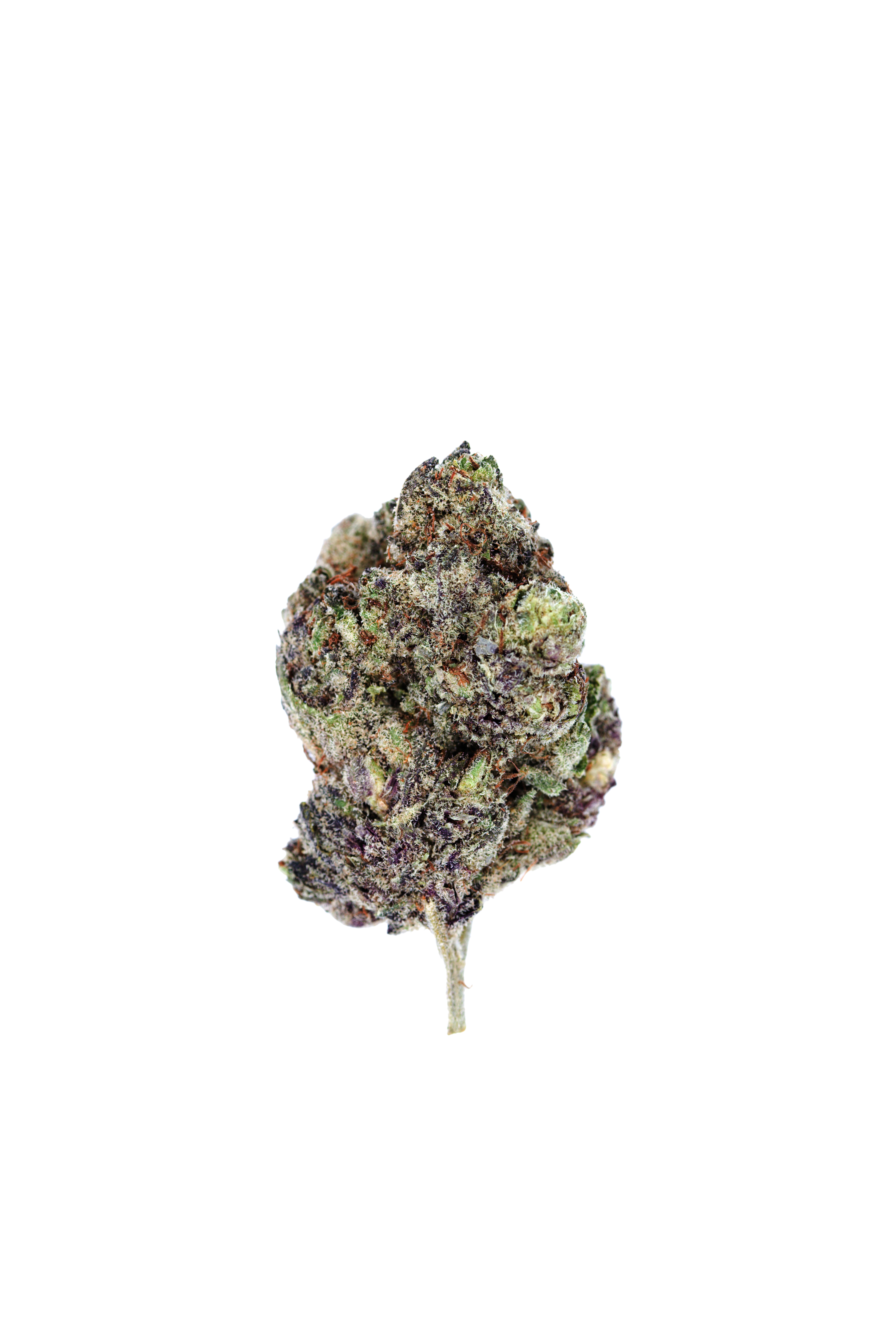 Rockstar Punch All Strains anxiety Rockstar Punch All Strains anxiety