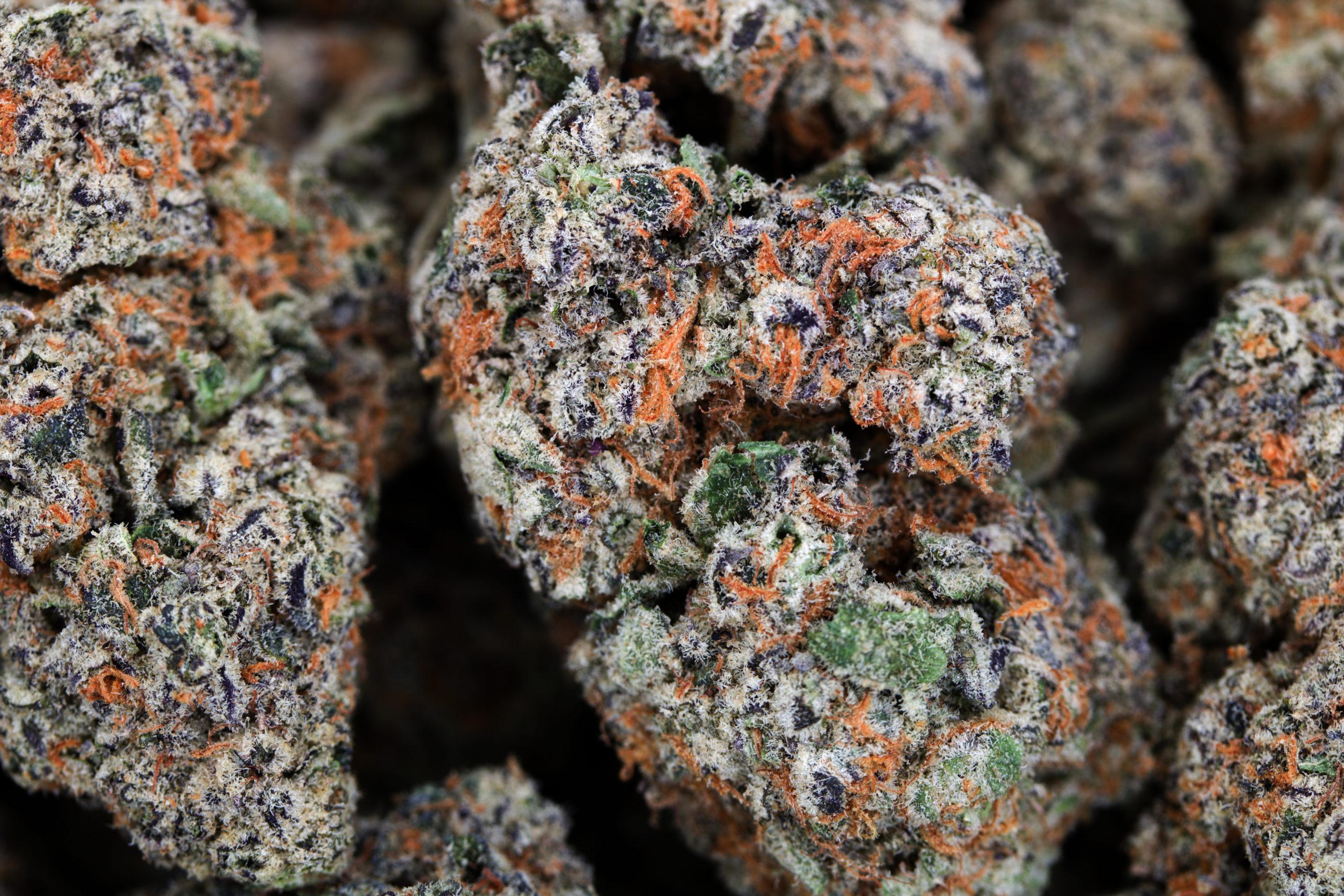 White Walker All Strains White Walker All Strains