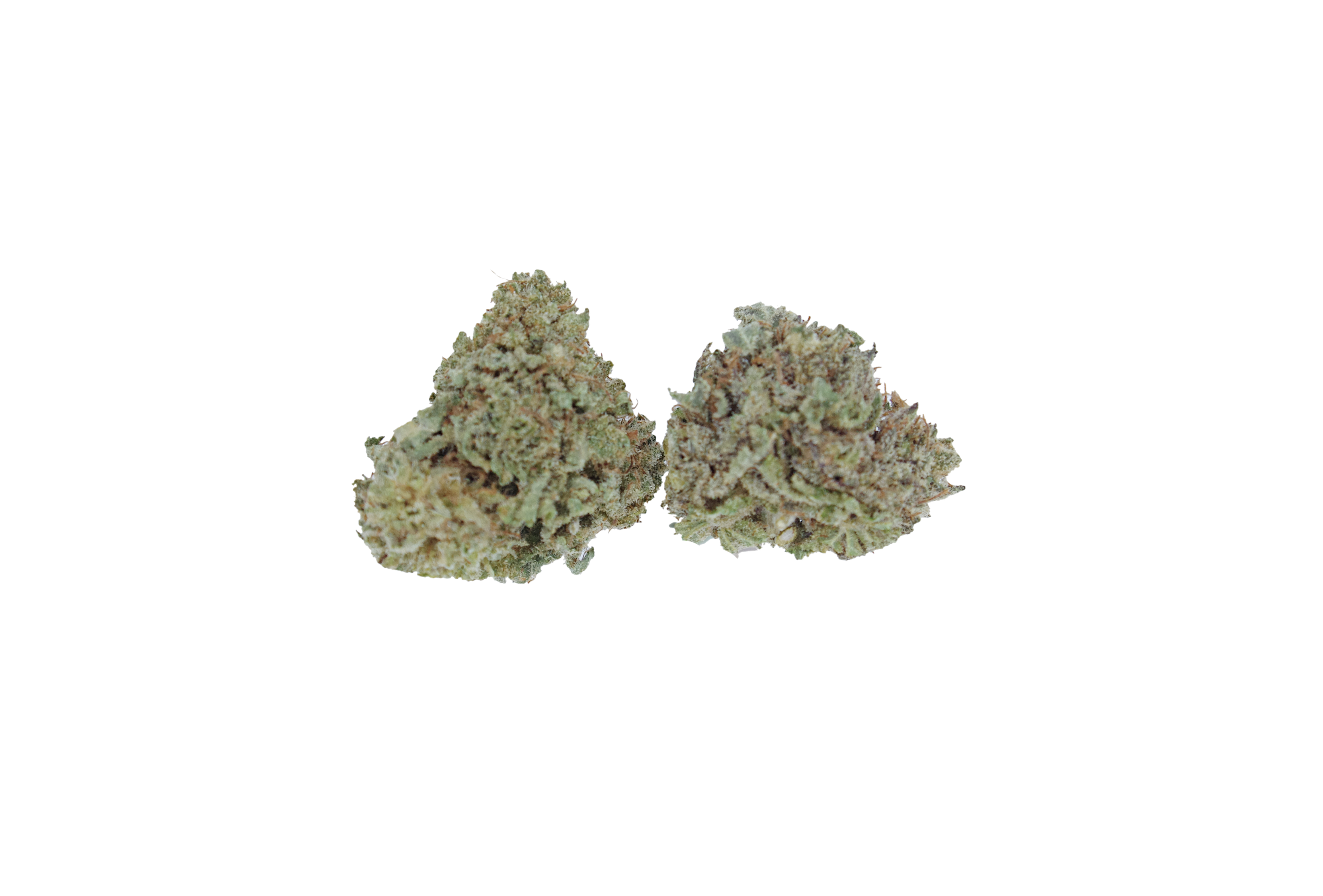 Northern Lights Smalls (1/2lb) Wholesale Flower Cannabis Flower Northern Lights Smalls (1/2lb) Wholesale Flower Cannabis Flower