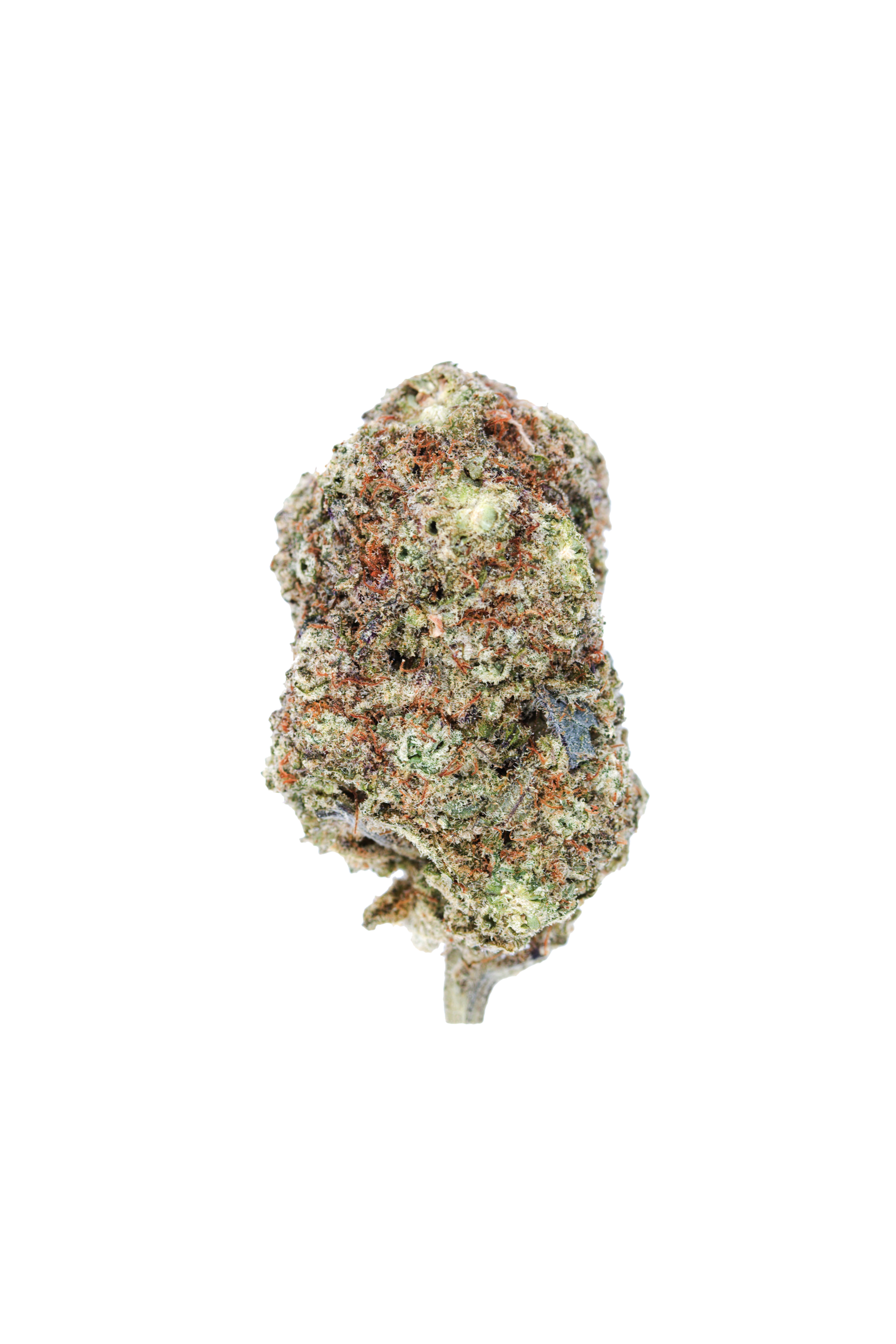 Purple Starfighter All Strains Purple Starfighter All Strains