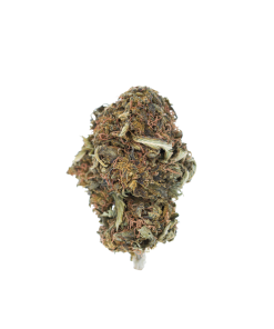 Buy Purple Kush Online