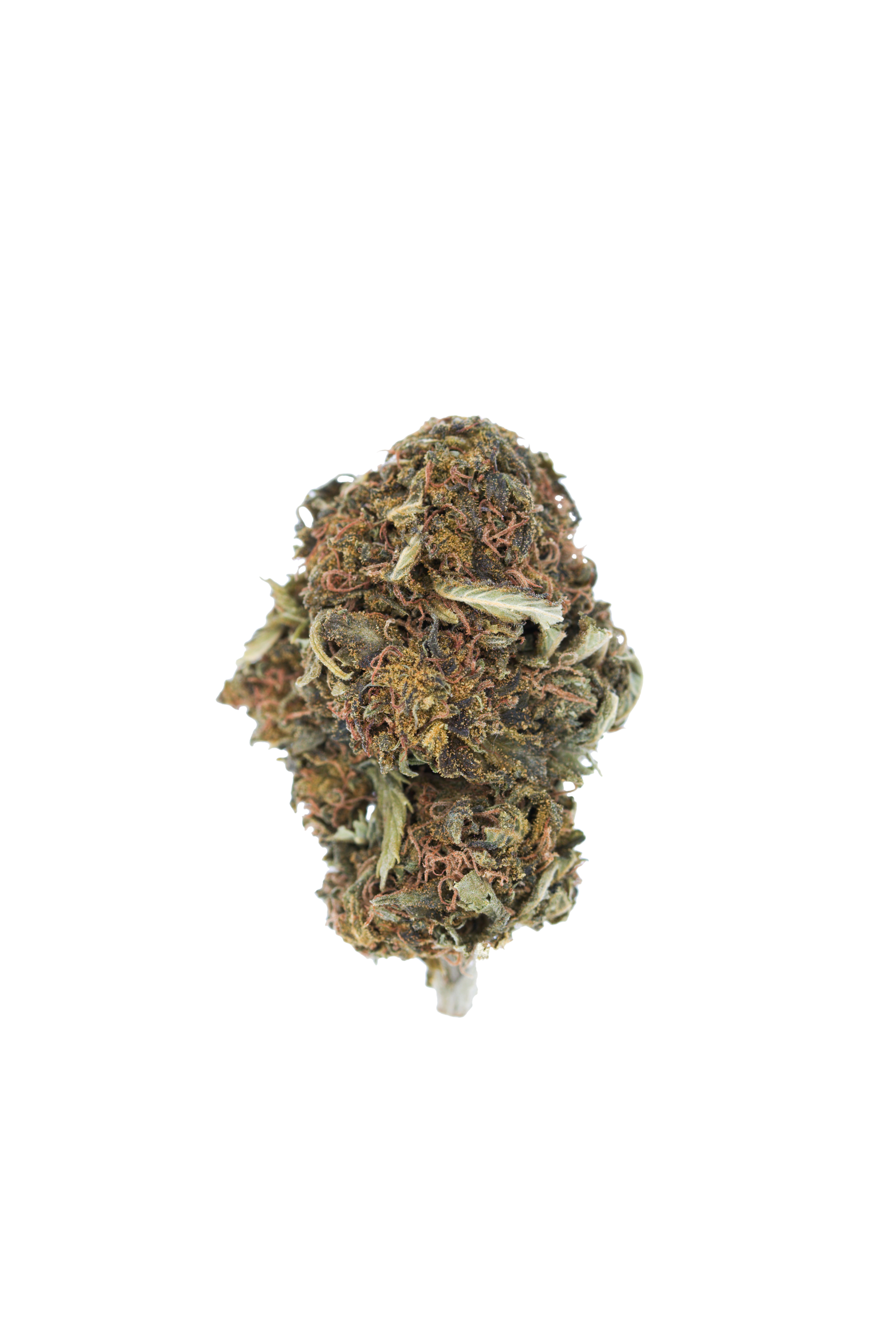 Purple Kush (1/2lb) Indica Purple Kush (1/2lb) Indica