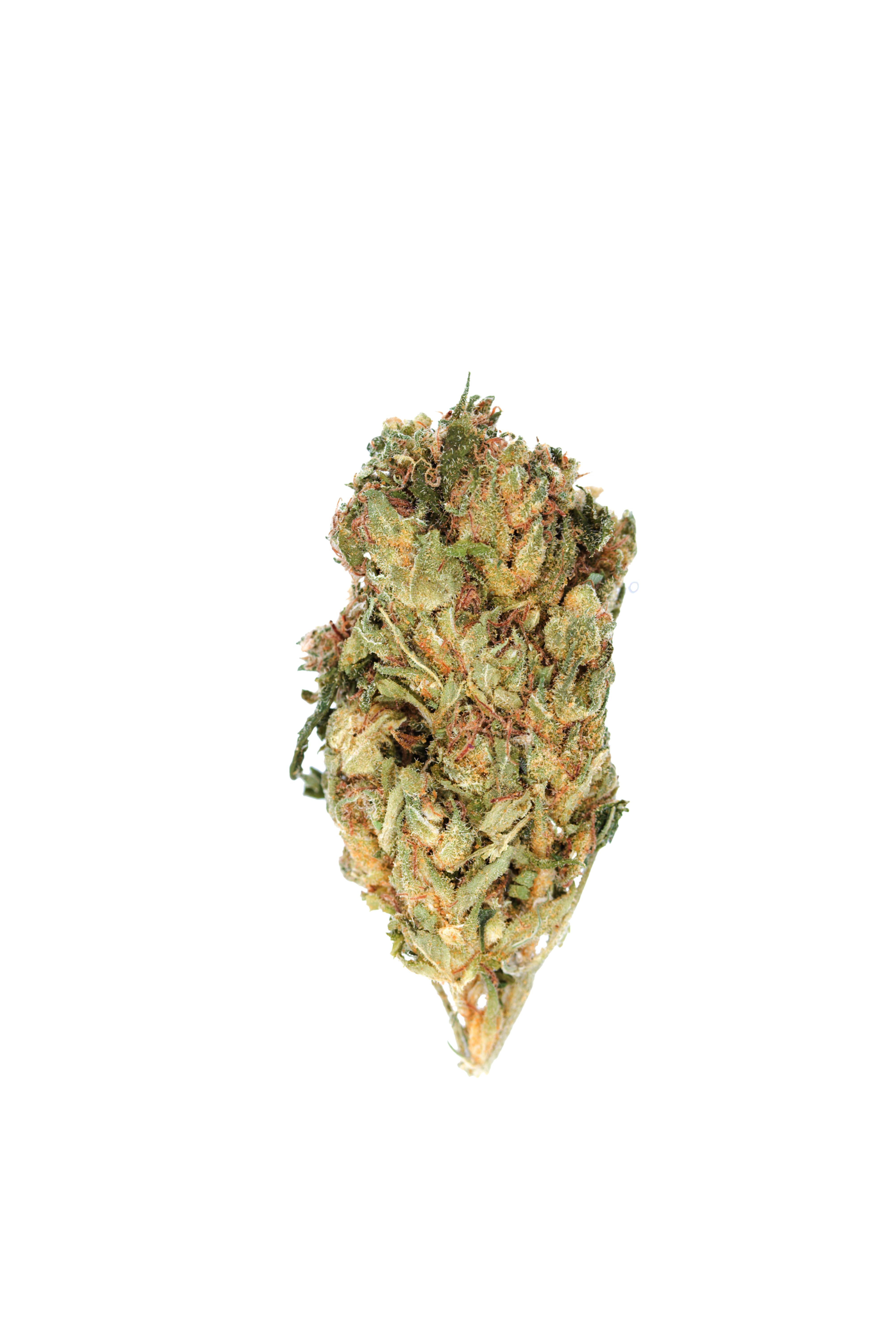 Green Crack Herer (1/2lb) Sativa Green Crack Herer (1/2lb) Sativa