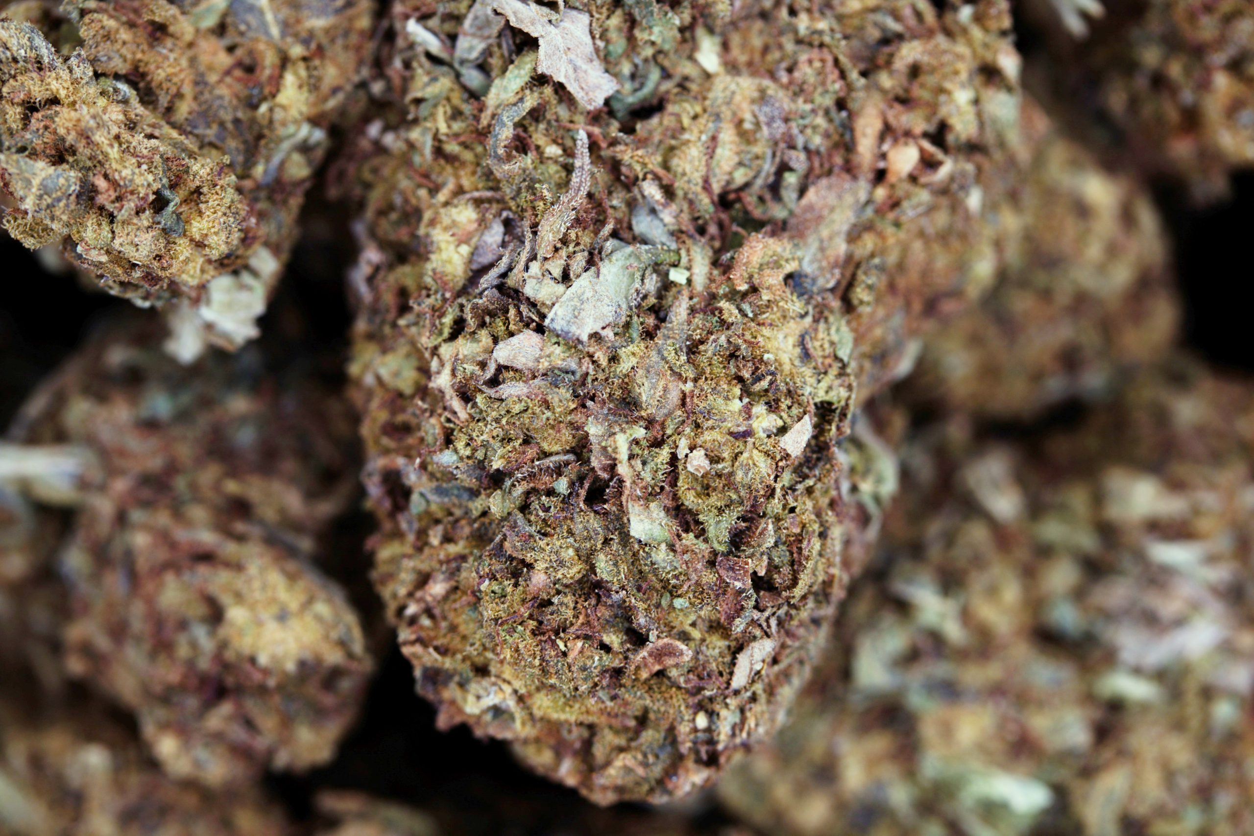 Kandy Kush (1/2lb) Hybrid Kandy Kush (1/2lb) Hybrid