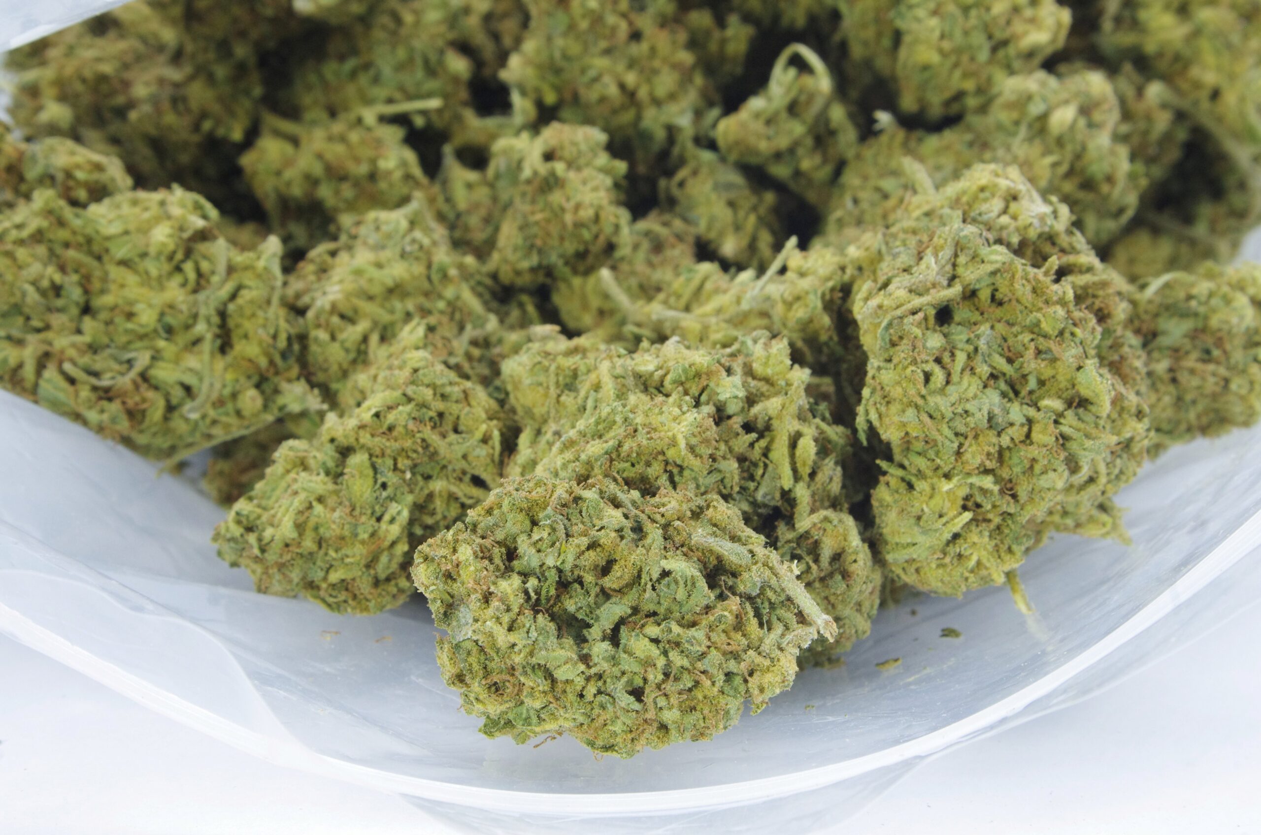 AK-47 (Oz special) Sativa AK-47 (Oz special) Sativa