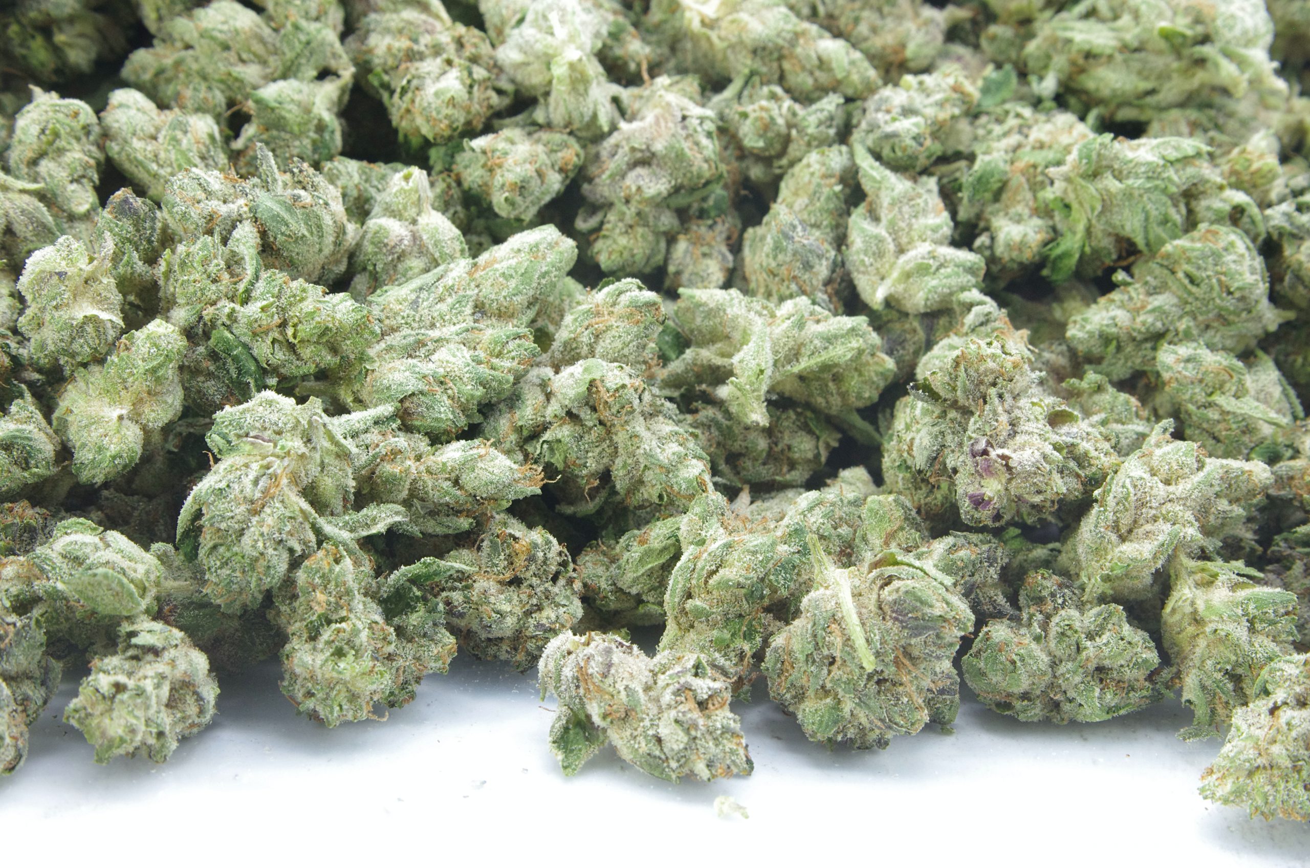 All Gas OG Mids Oz Special Indica anti-anxiety All Gas OG Mids Oz Special Indica anti-anxiety