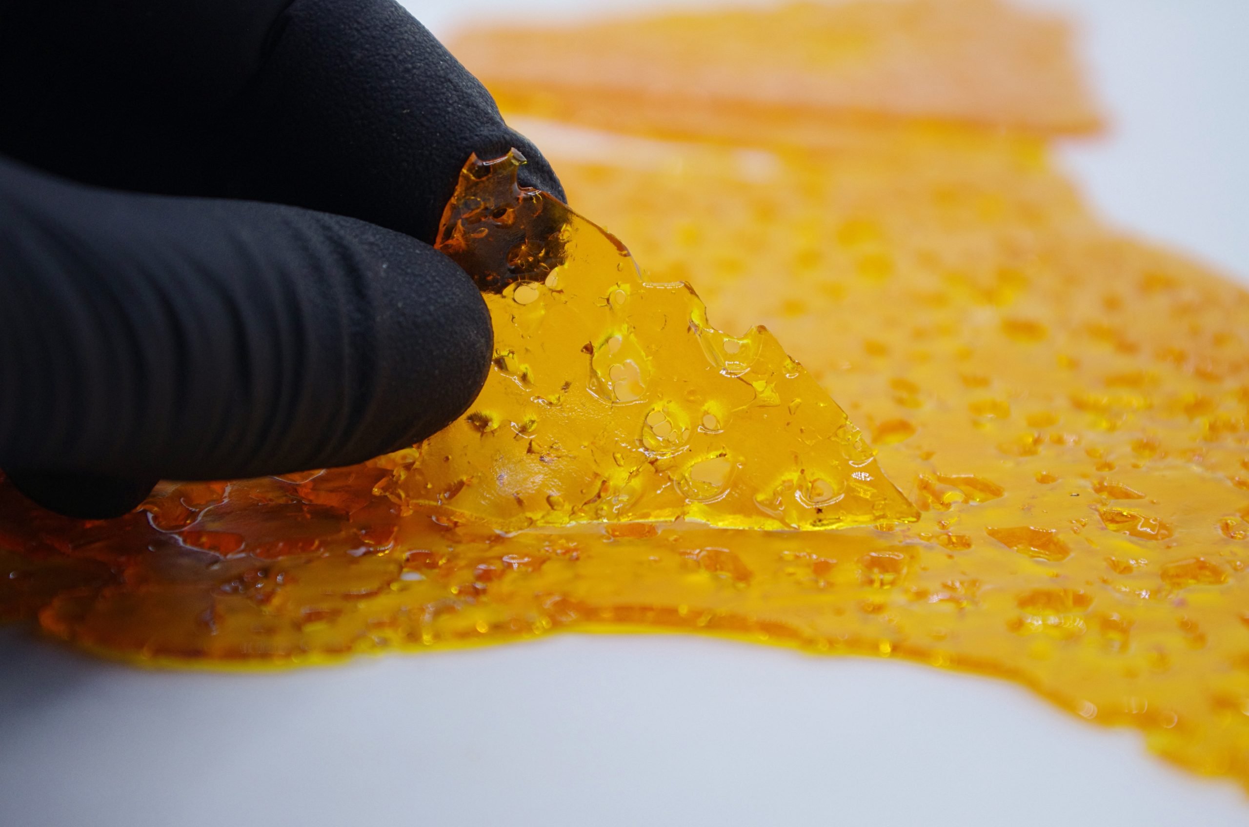Amensia Haze Shatter Shatter Amensia Haze Shatter Shatter