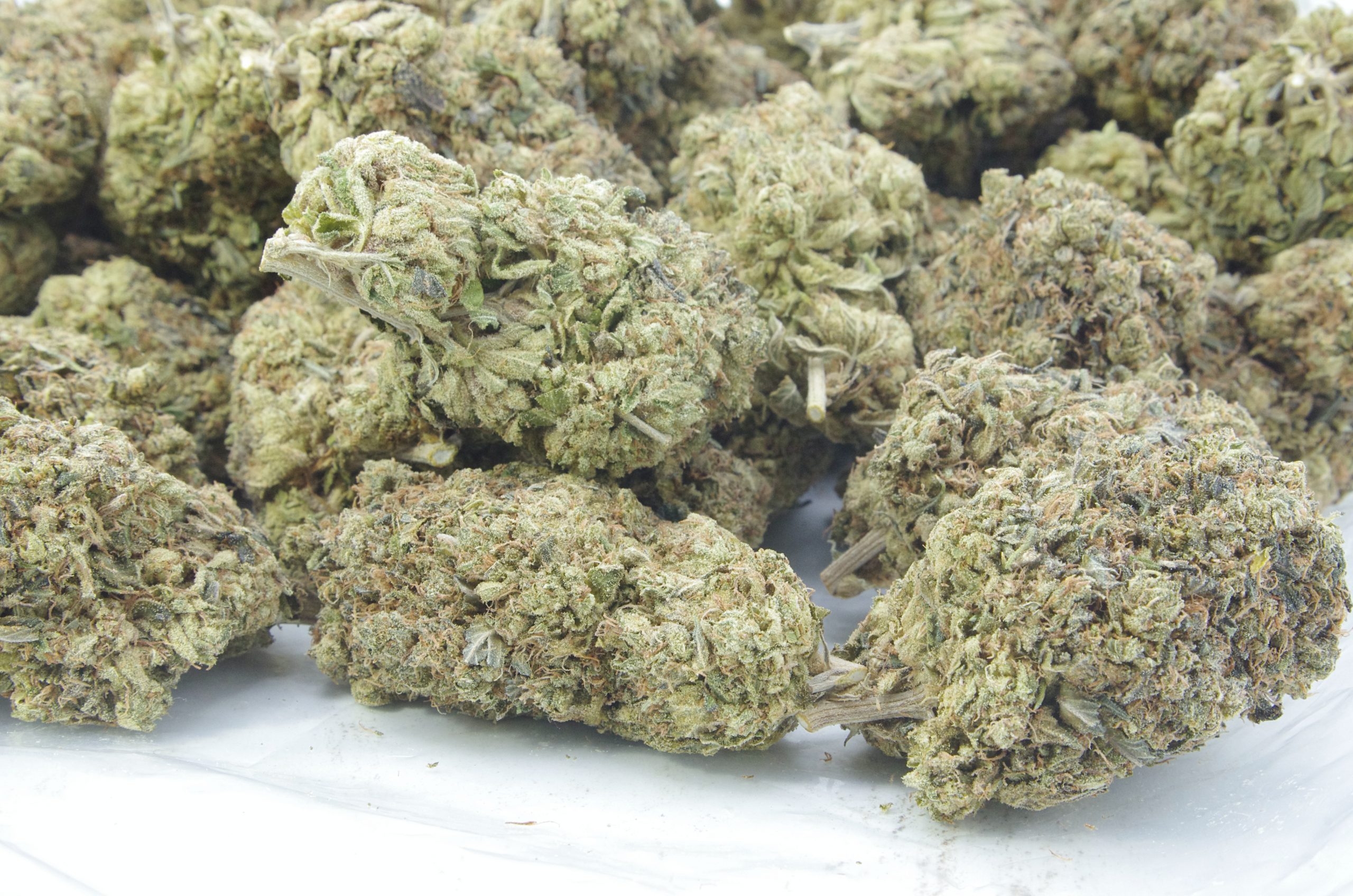 Astro Pink Oz Special Indica anti-anxiety Astro Pink Oz Special Indica anti-anxiety