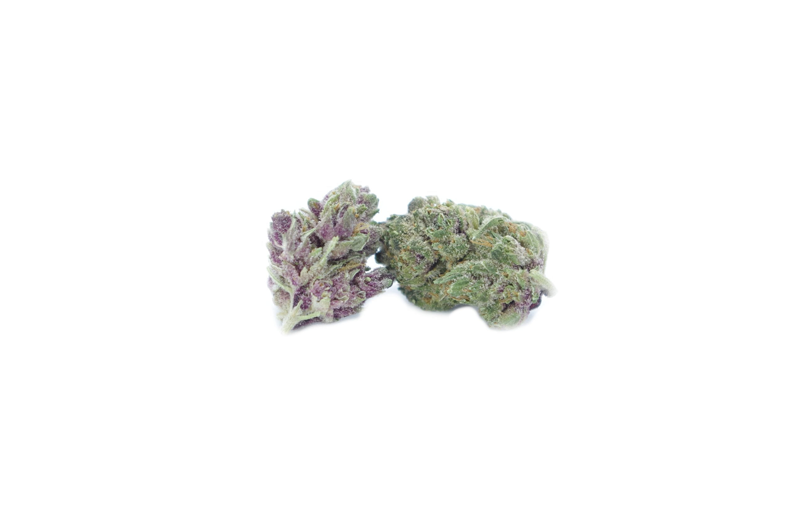 Astro Pop Mids Oz Special Hybrid anti-anxiety Astro Pop Mids Oz Special Hybrid anti-anxiety