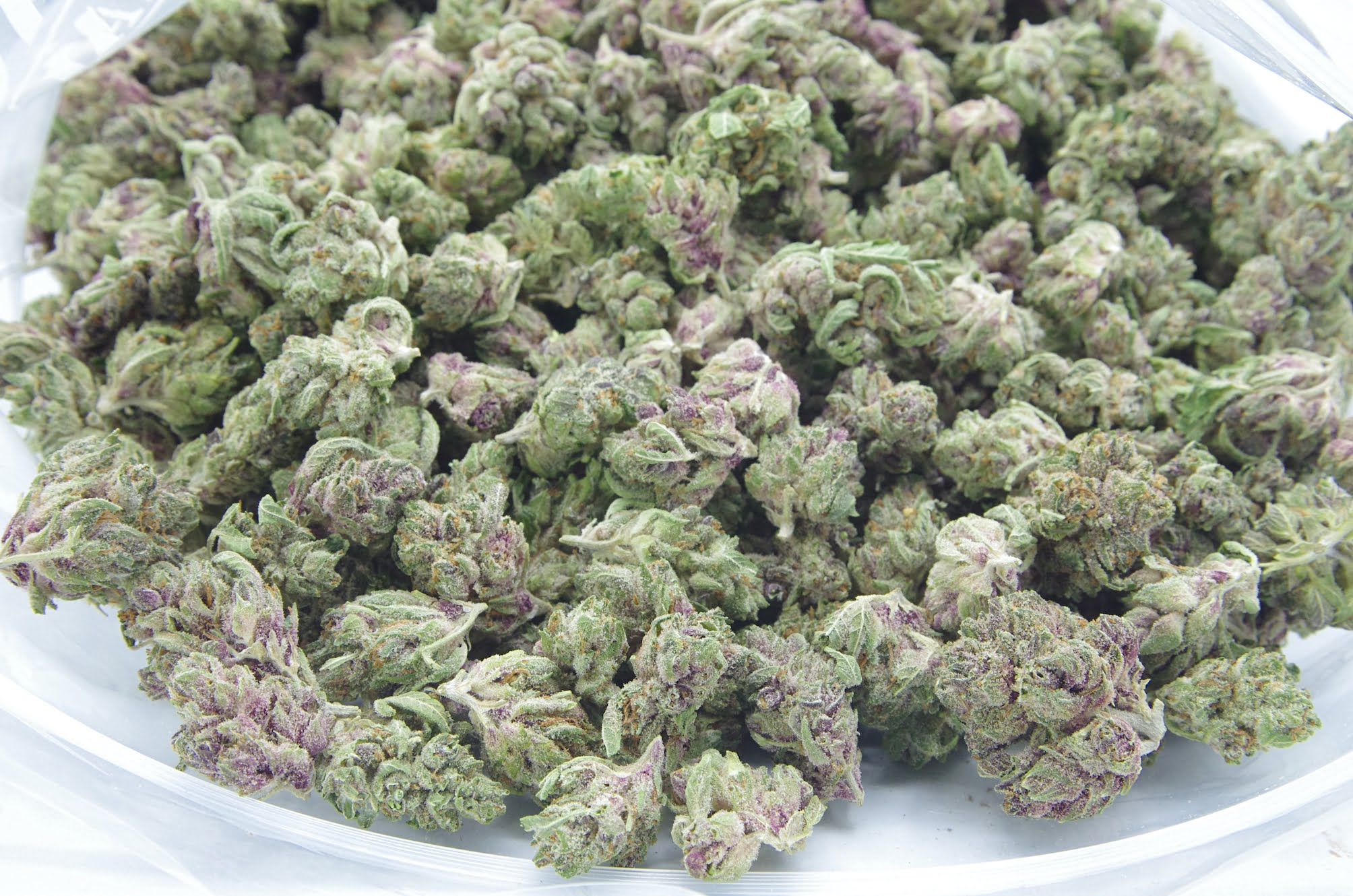 Astro Pop Mids Oz Special Hybrid anti-anxiety Astro Pop Mids Oz Special Hybrid anti-anxiety