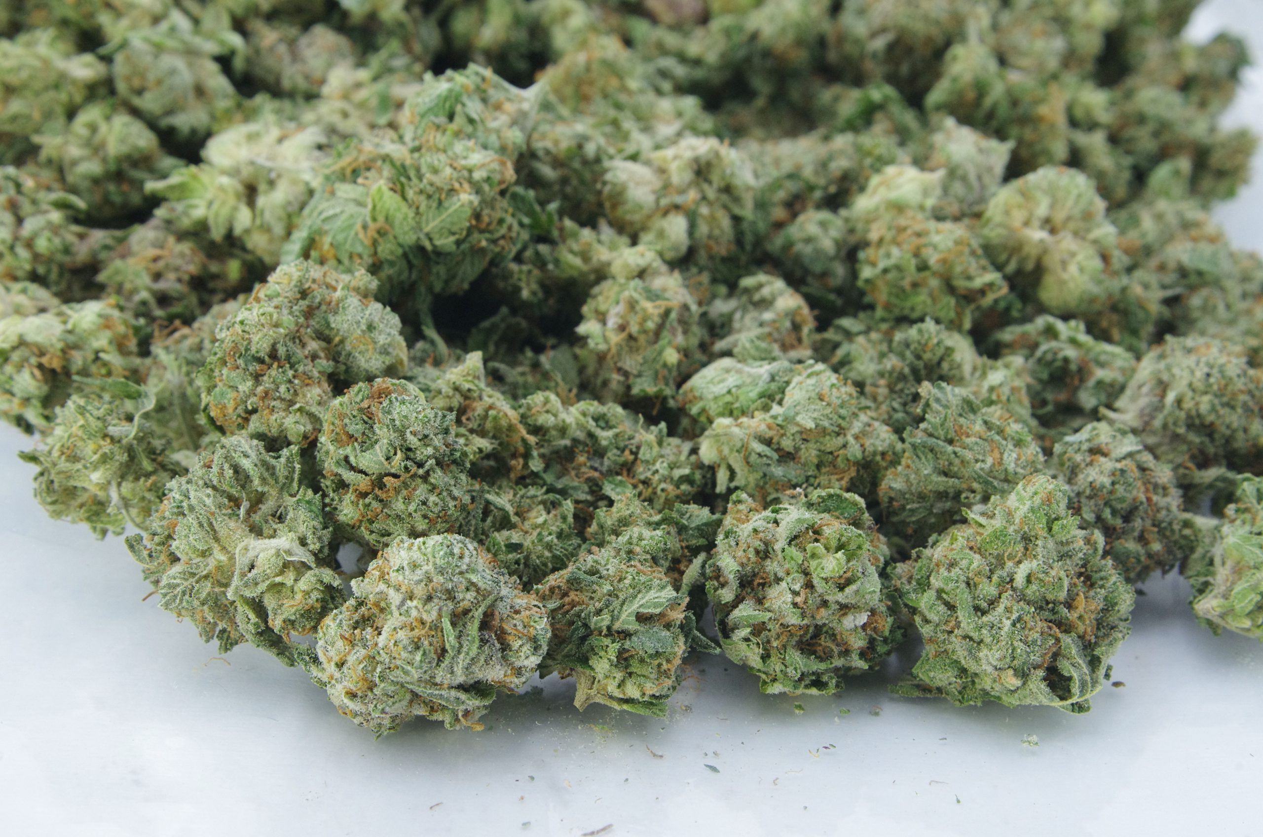 First Class Funk Smalls (Oz Special) Hybrid anti-anxiety First Class Funk Smalls (Oz Special) Hybrid anti-anxiety