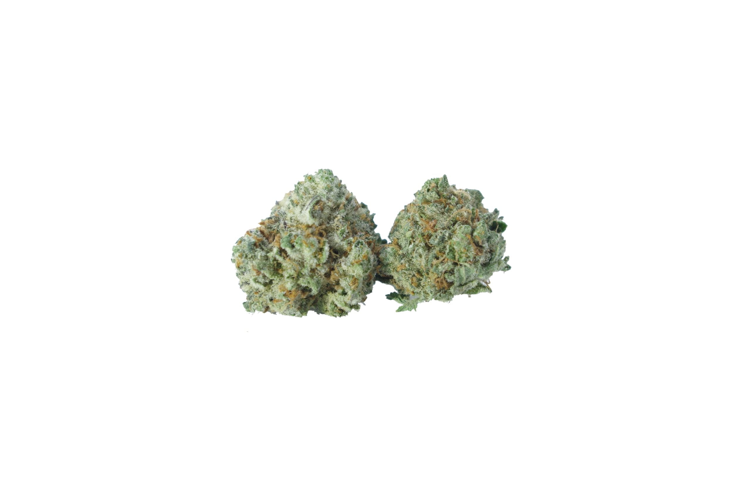 First Class Funk Smalls (Oz Special) Hybrid anti-anxiety First Class Funk Smalls (Oz Special) Hybrid anti-anxiety