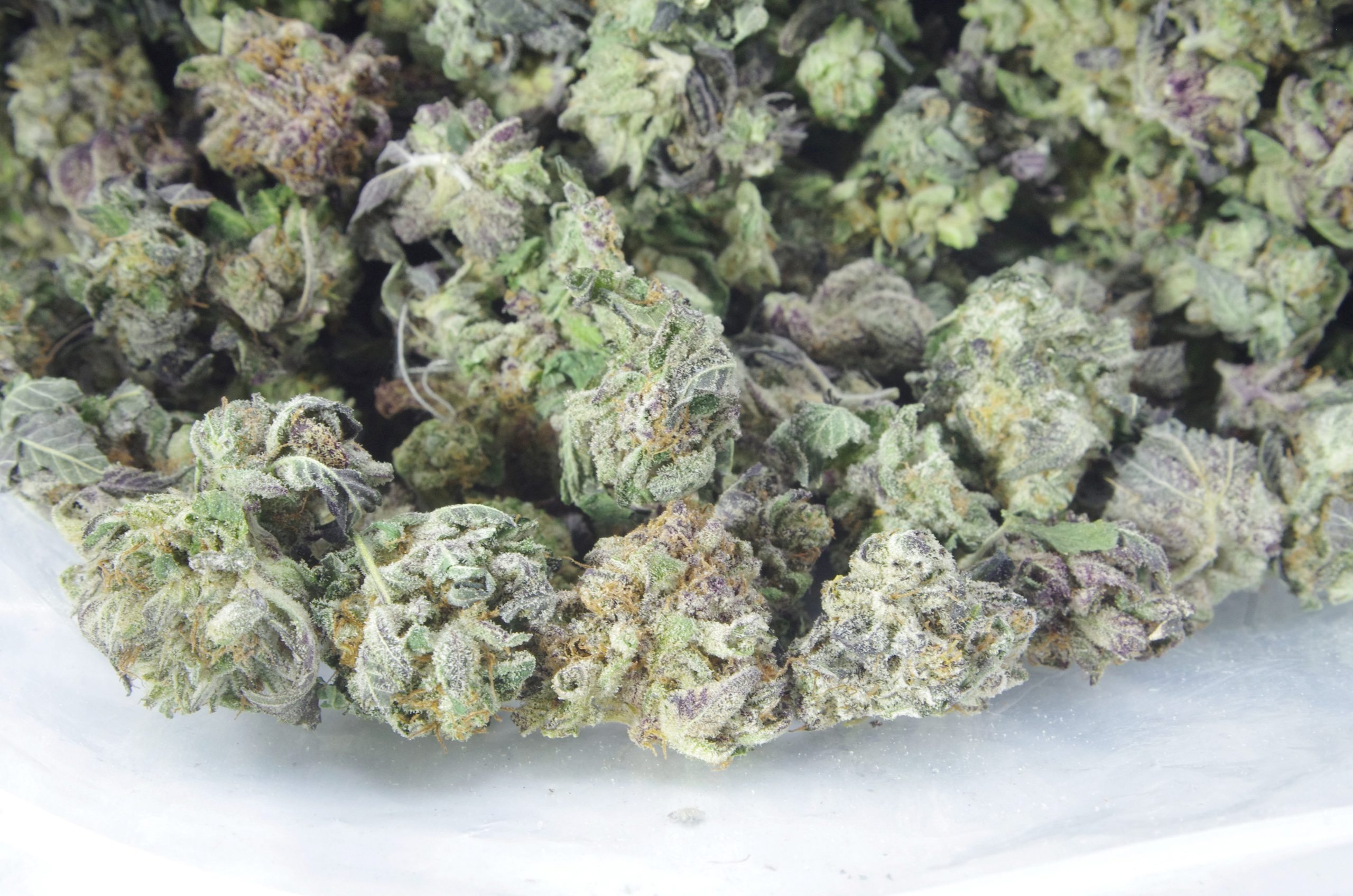 Blackberry Smalls (Oz special) Indica Blackberry Smalls (Oz special) Indica