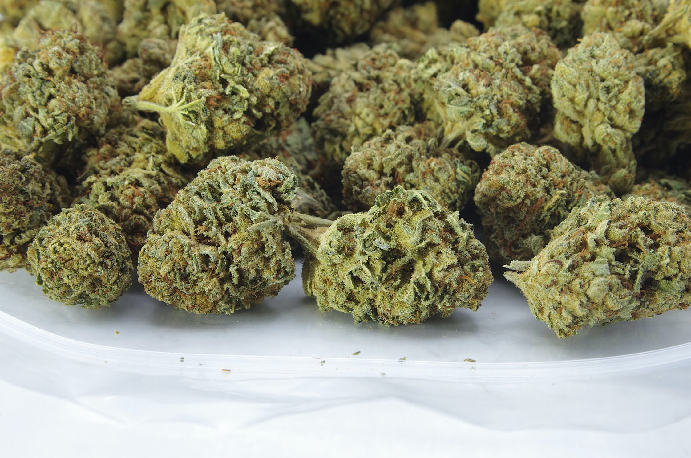 Blueberry OG (Oz Special) Indica anti-anxiety Blueberry OG (Oz Special) Indica anti-anxiety
