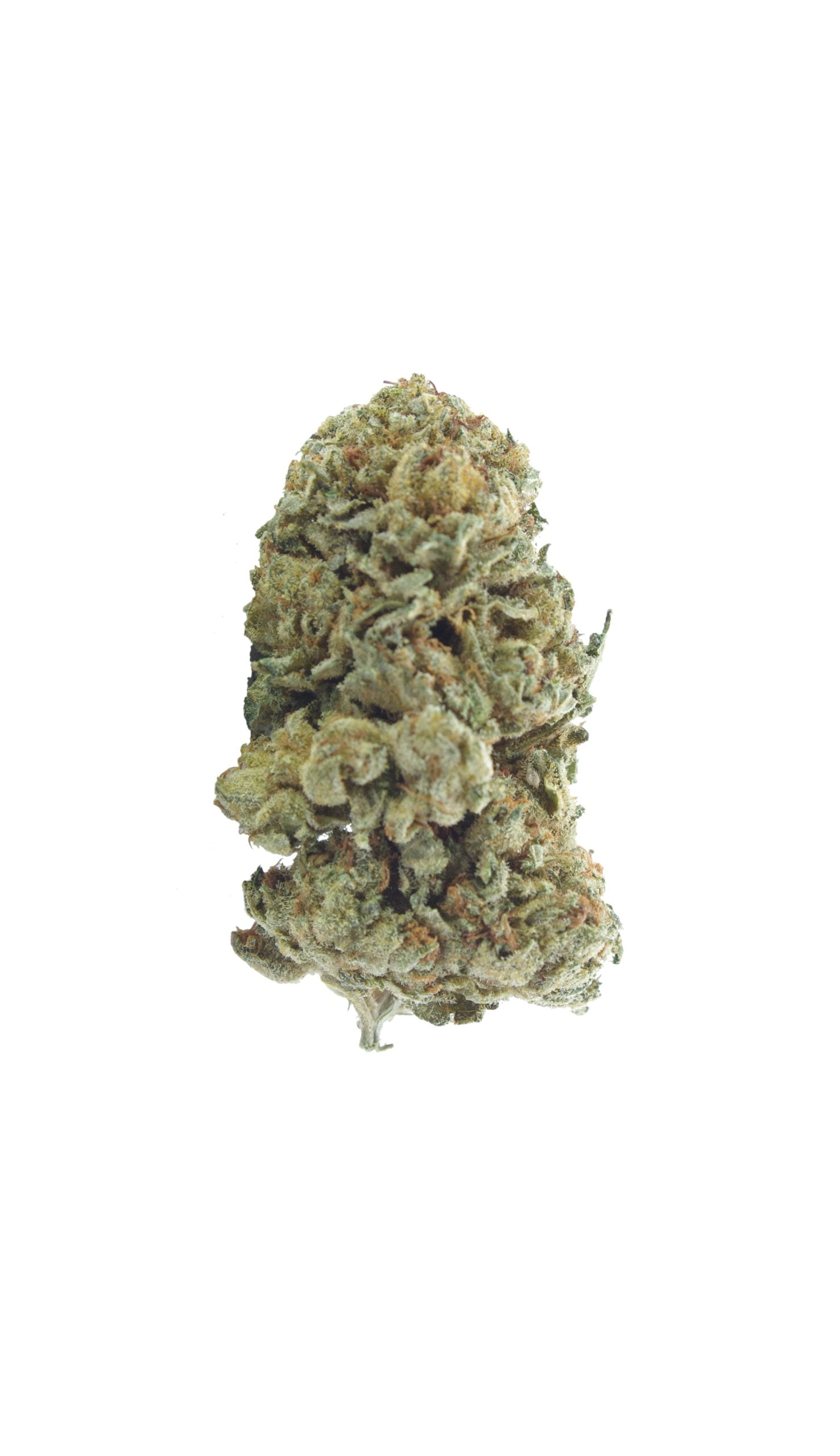 Blueberry OG (Oz Special) Indica anti-anxiety Blueberry OG (Oz Special) Indica anti-anxiety