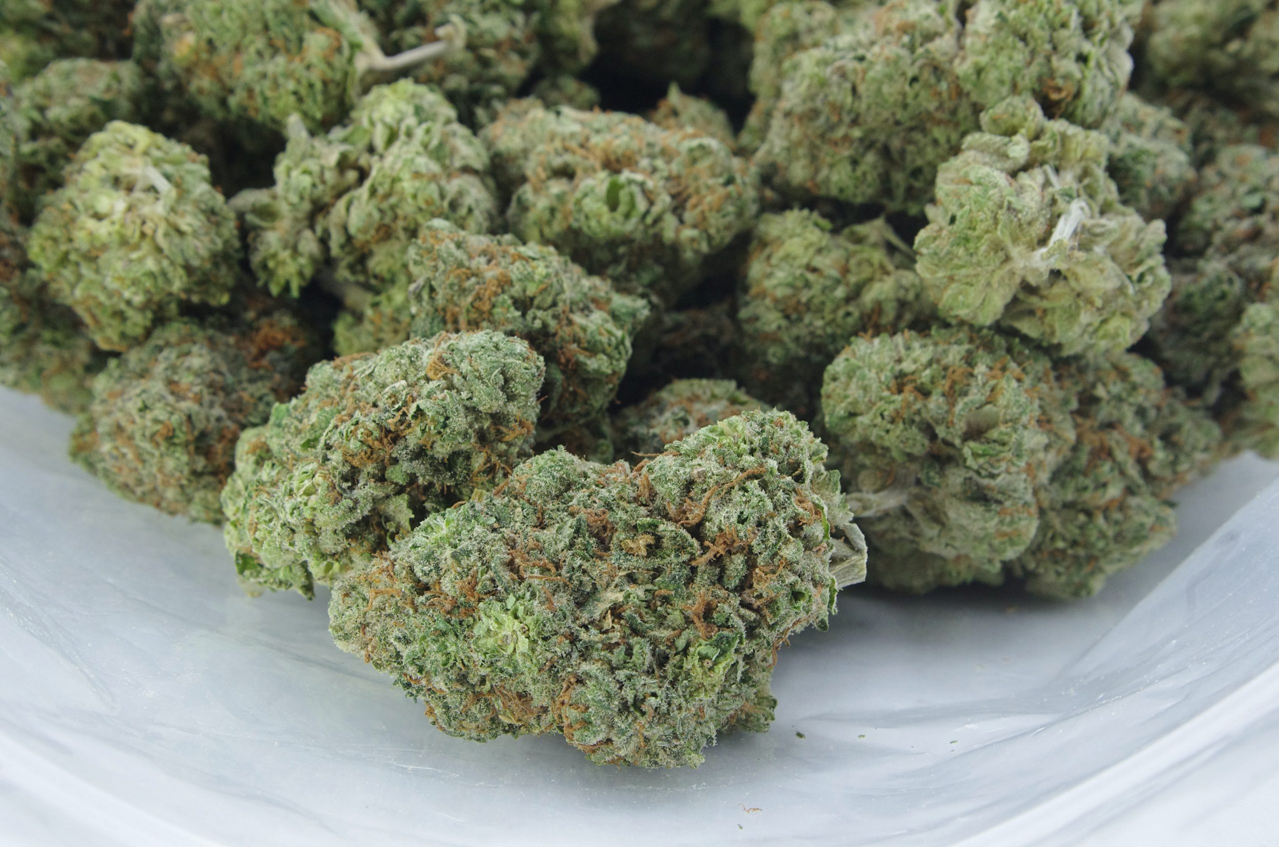 BC Roadkill Oz Special Indica anti-anxiety BC Roadkill Oz Special Indica anti-anxiety