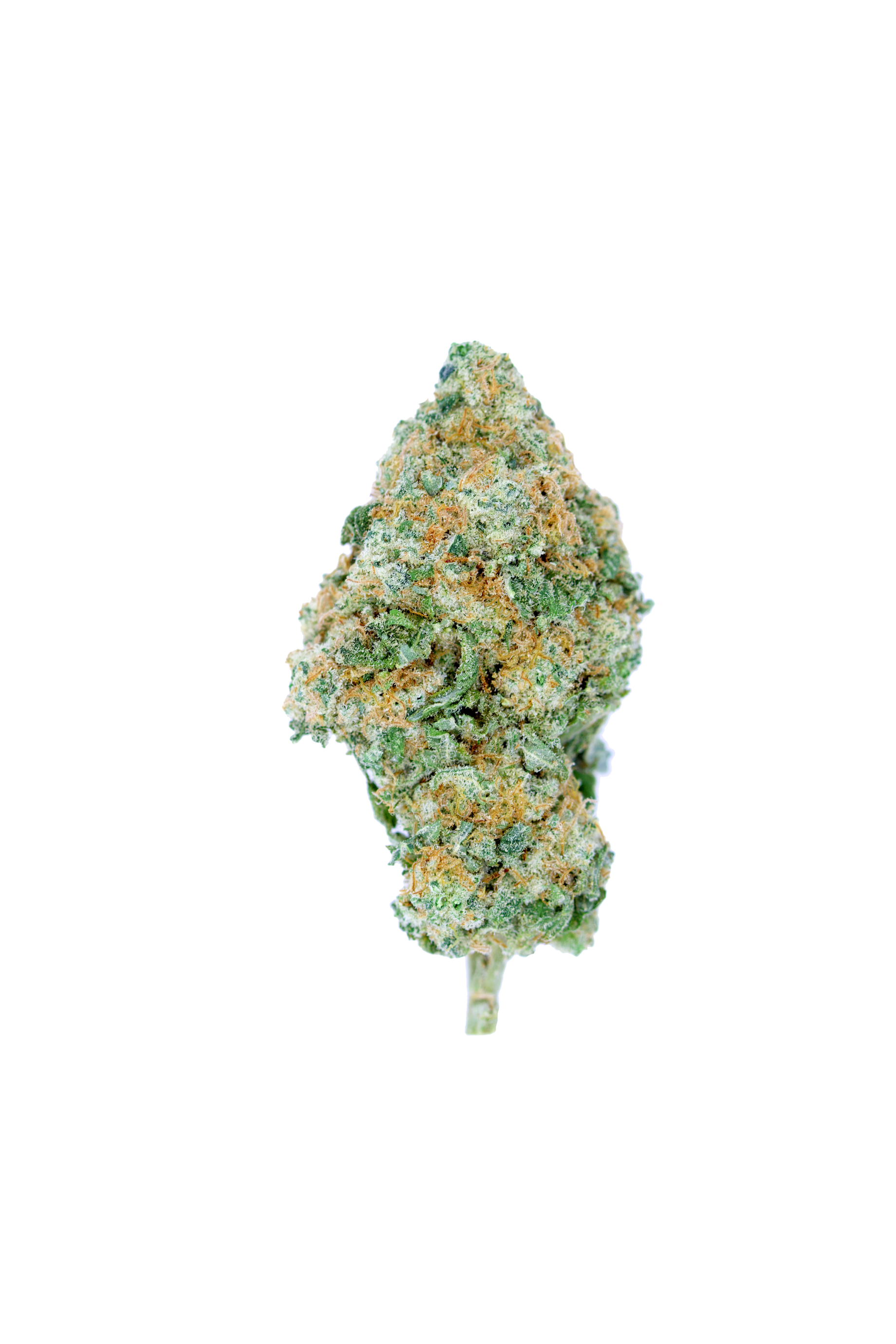 Banana Mac Hybrid anxiety Banana Mac Hybrid anxiety