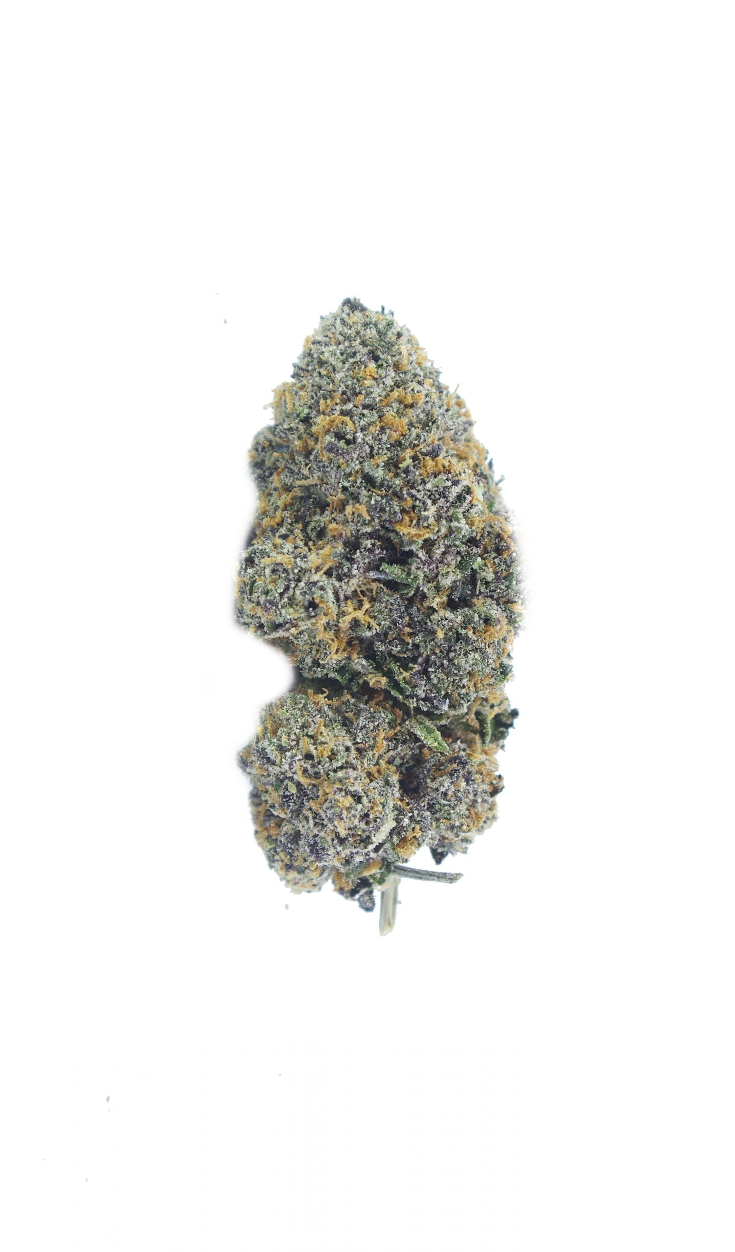 Berry Gelato Oz Special Hybrid anti-anxiety Berry Gelato Oz Special Hybrid anti-anxiety