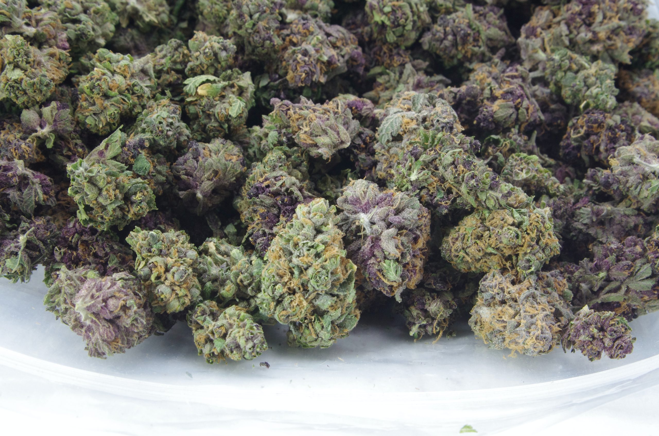 Berry Haze Mids Oz Special Hybrid anti-anxiety Berry Haze Mids Oz Special Hybrid anti-anxiety