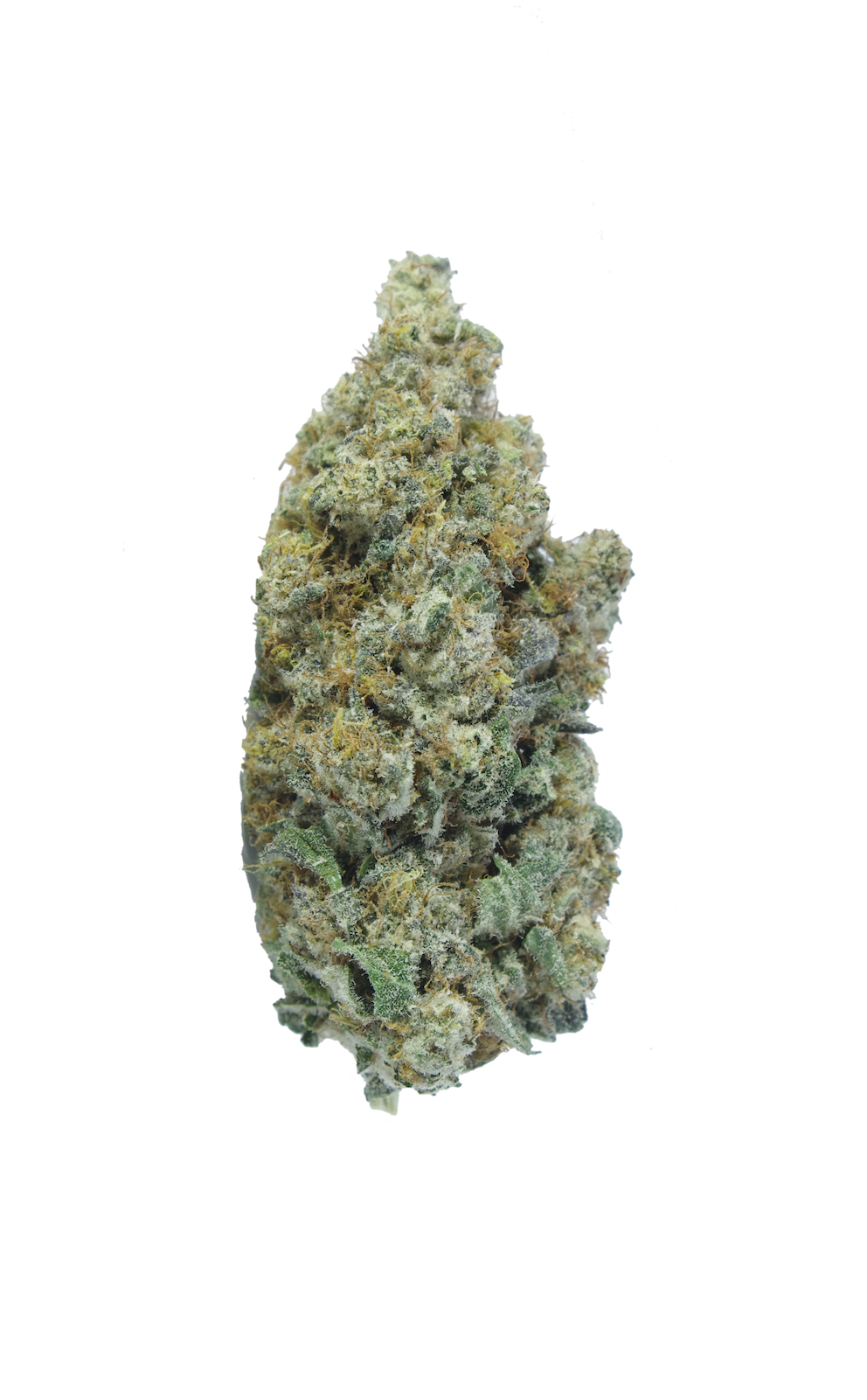 Birthday Cake Oz Special Hybrid anti-anxiety Birthday Cake Oz Special Hybrid anti-anxiety