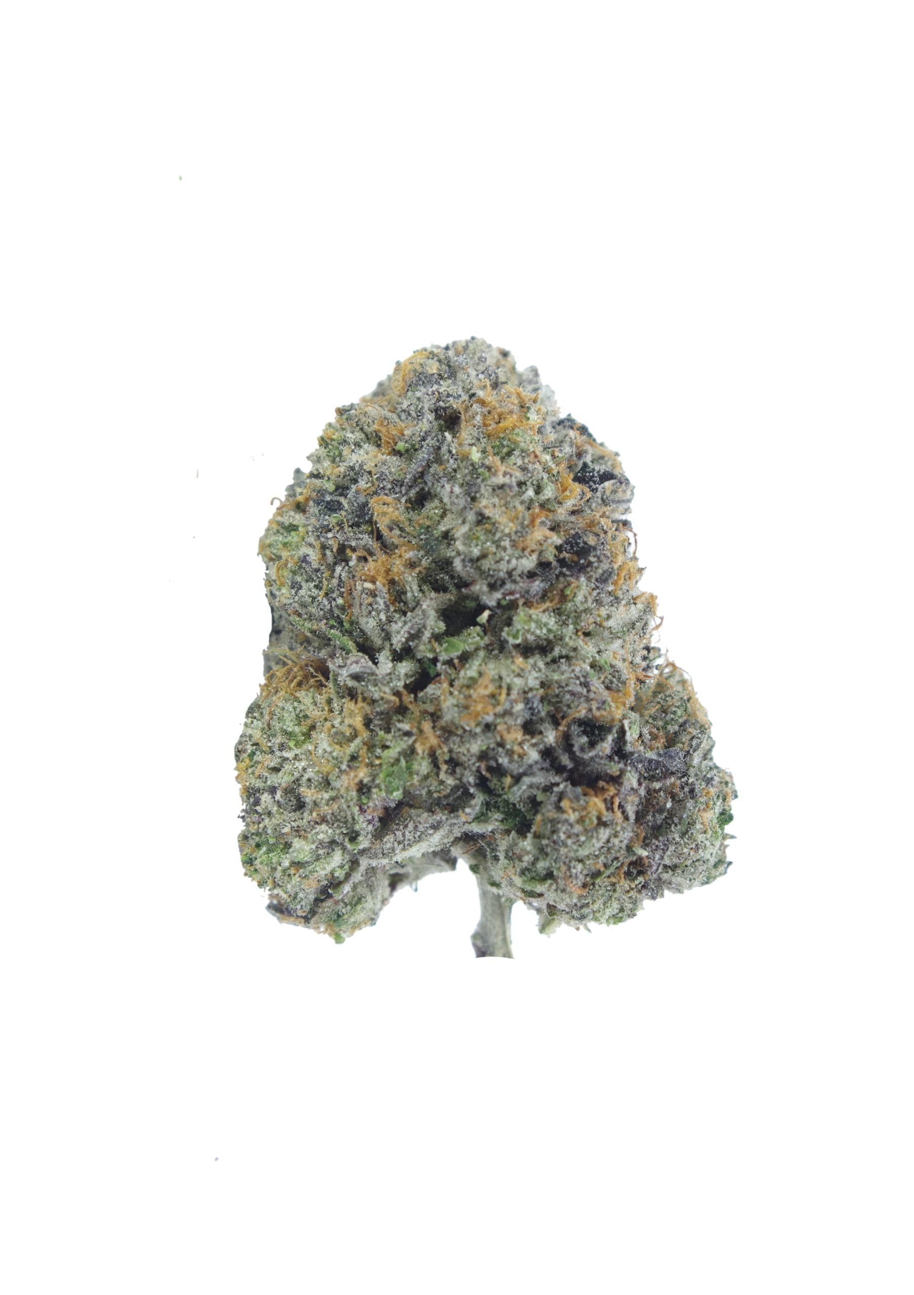 Black Label Kush Oz Special Indica Black Label Kush Oz Special Indica