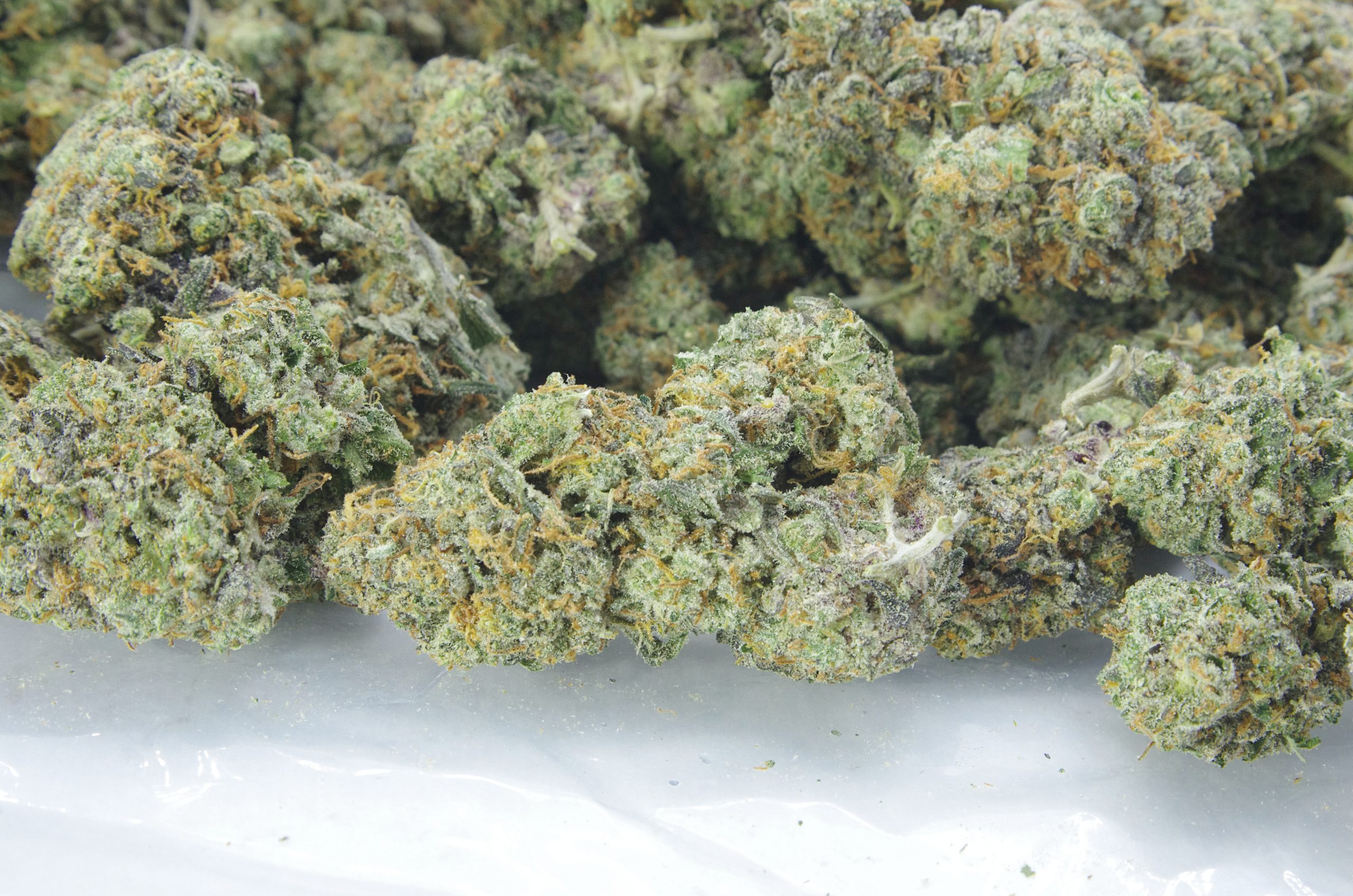 Black Label Kush Oz Special Indica Black Label Kush Oz Special Indica