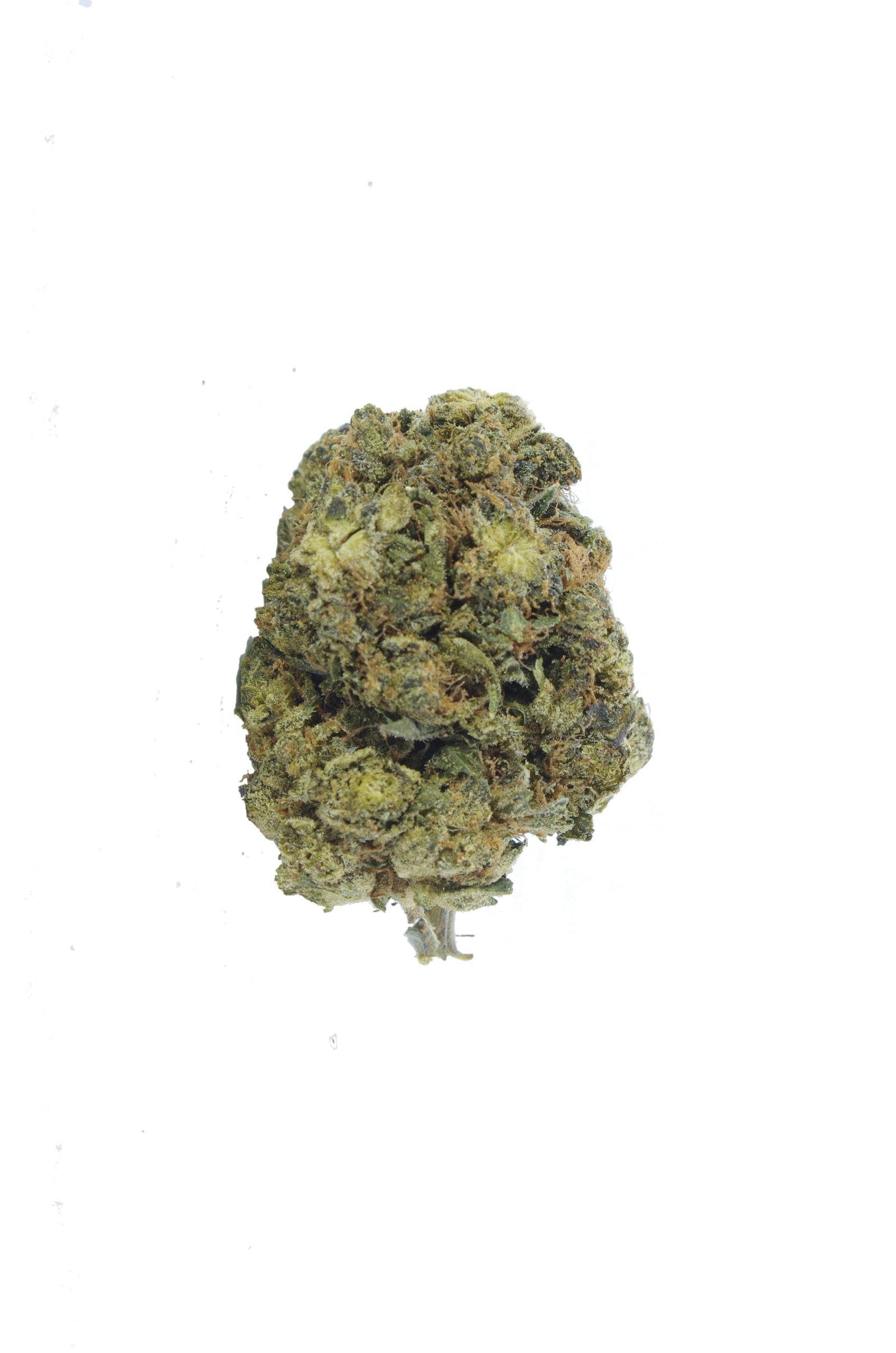 Black Tuna Oz Special Indica anti-anxiety Black Tuna Oz Special Indica anti-anxiety