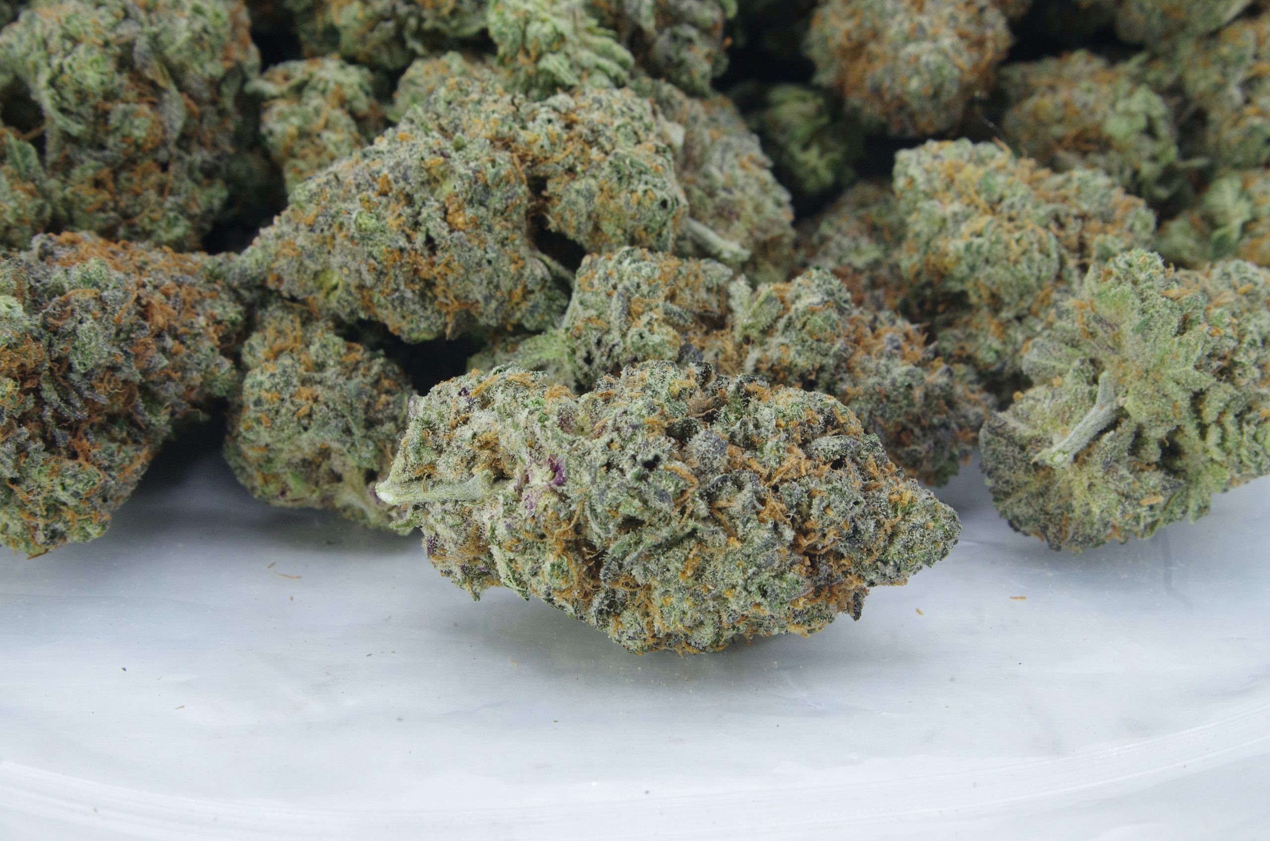 Blue Cheese Oz Special Hybrid anti-anxiety Blue Cheese Oz Special Hybrid anti-anxiety