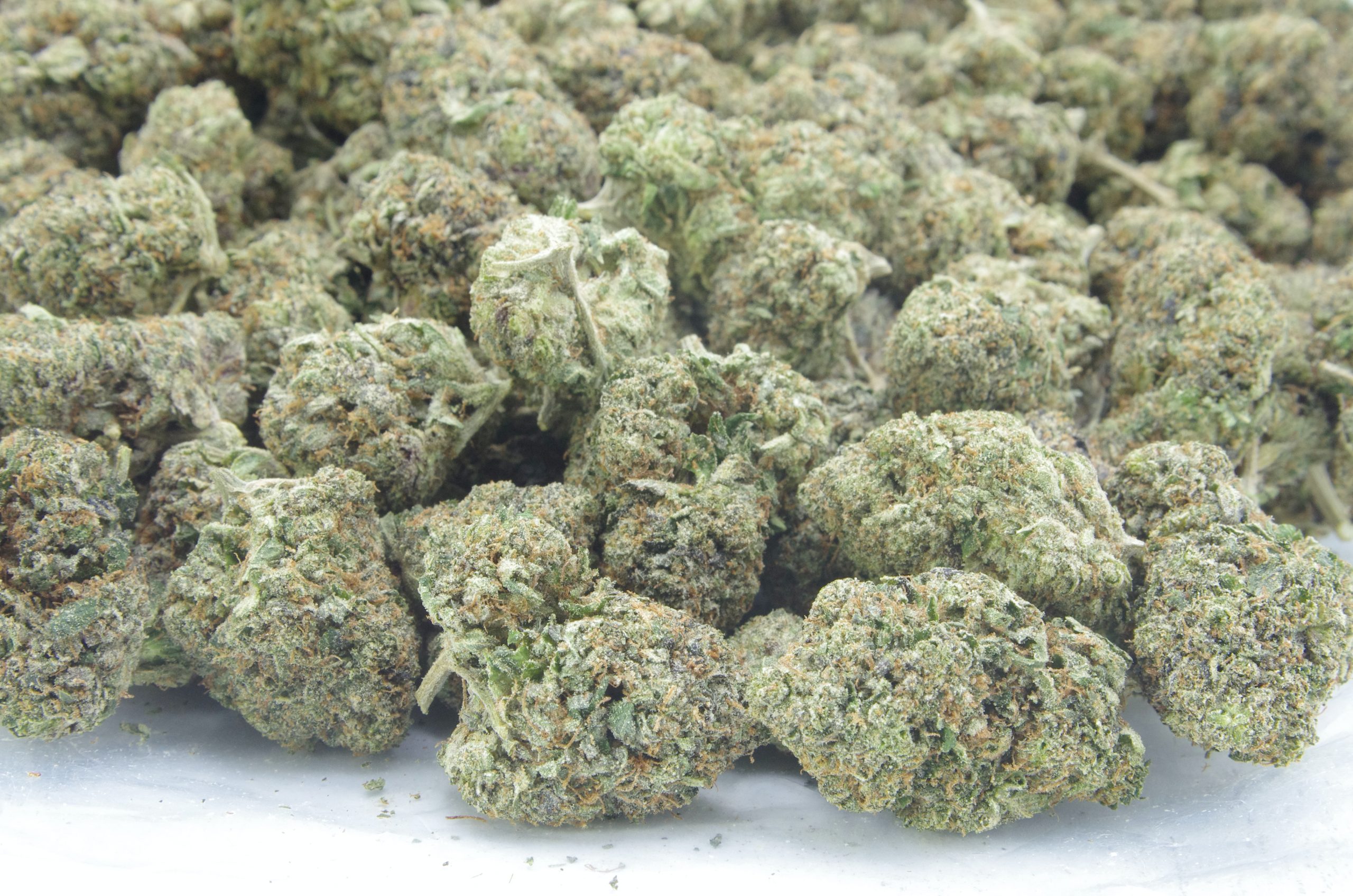Bubba Chem Oz Special Indica anti-anxiety Bubba Chem Oz Special Indica anti-anxiety