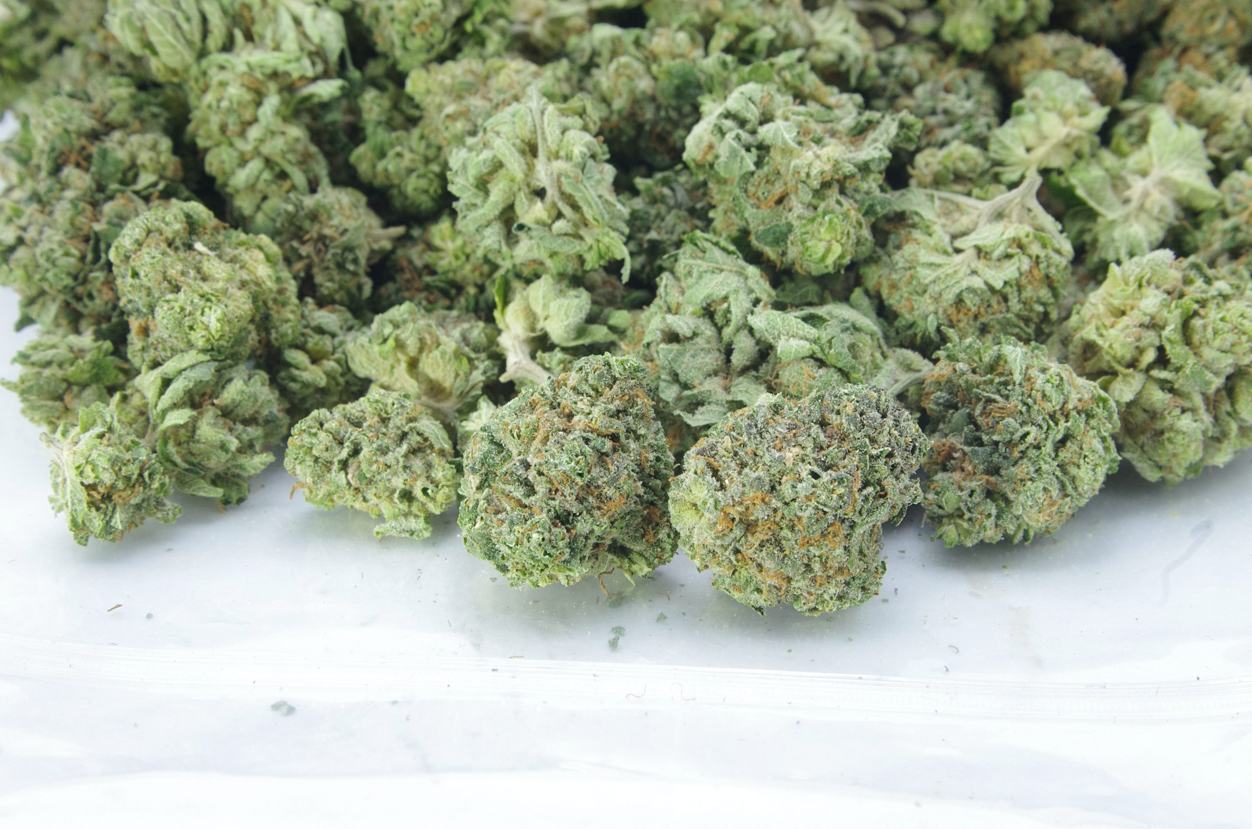 Tahoe Cookies Smalls Oz Special Hybrid anti-anxiety Tahoe Cookies Smalls Oz Special Hybrid anti-anxiety