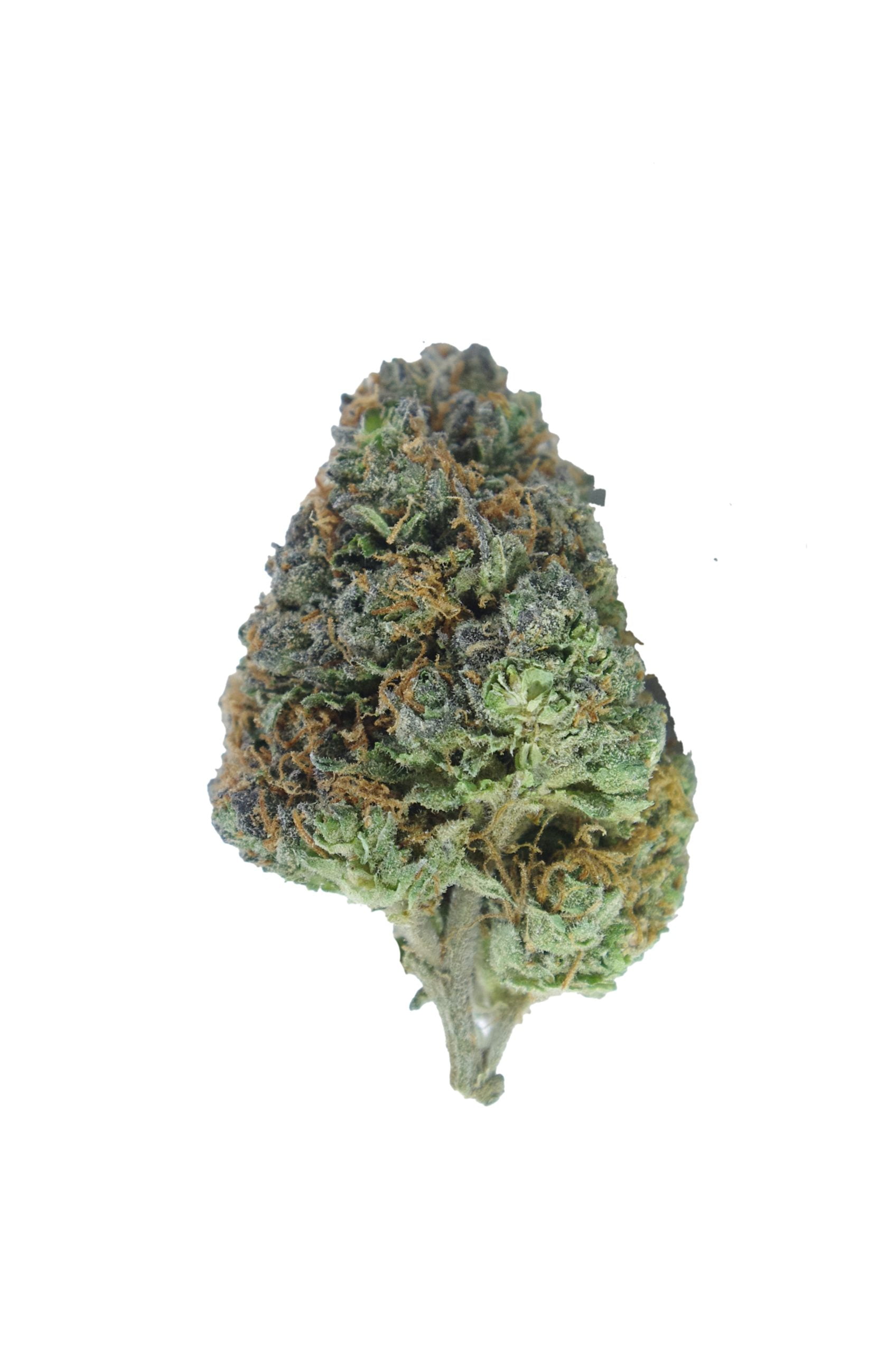 Chemdawg Oz Special Hybrid anti-anxiety Chemdawg Oz Special Hybrid anti-anxiety