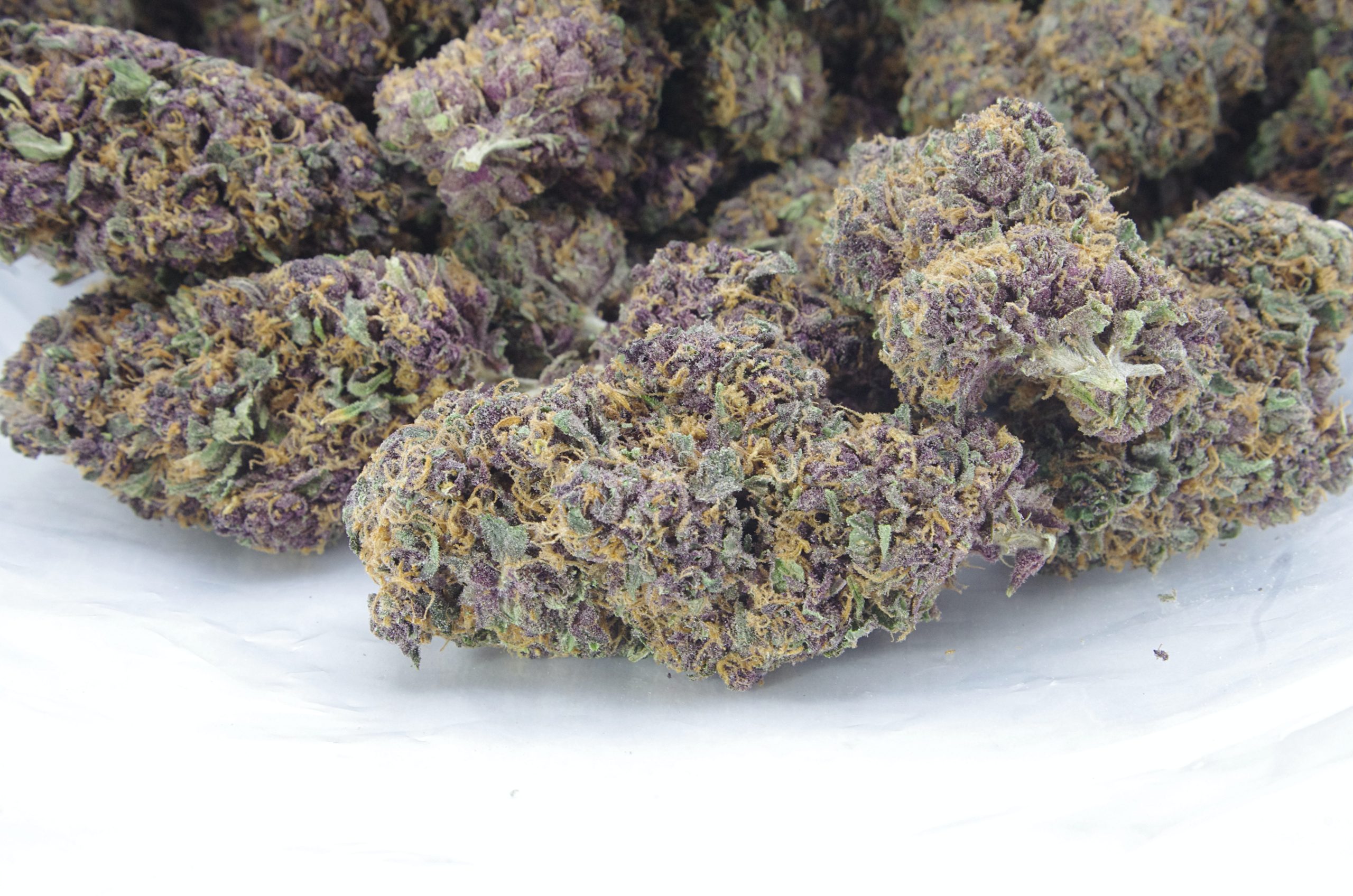 Clementine Oz Special Sativa anti-anxiety Clementine Oz Special Sativa anti-anxiety