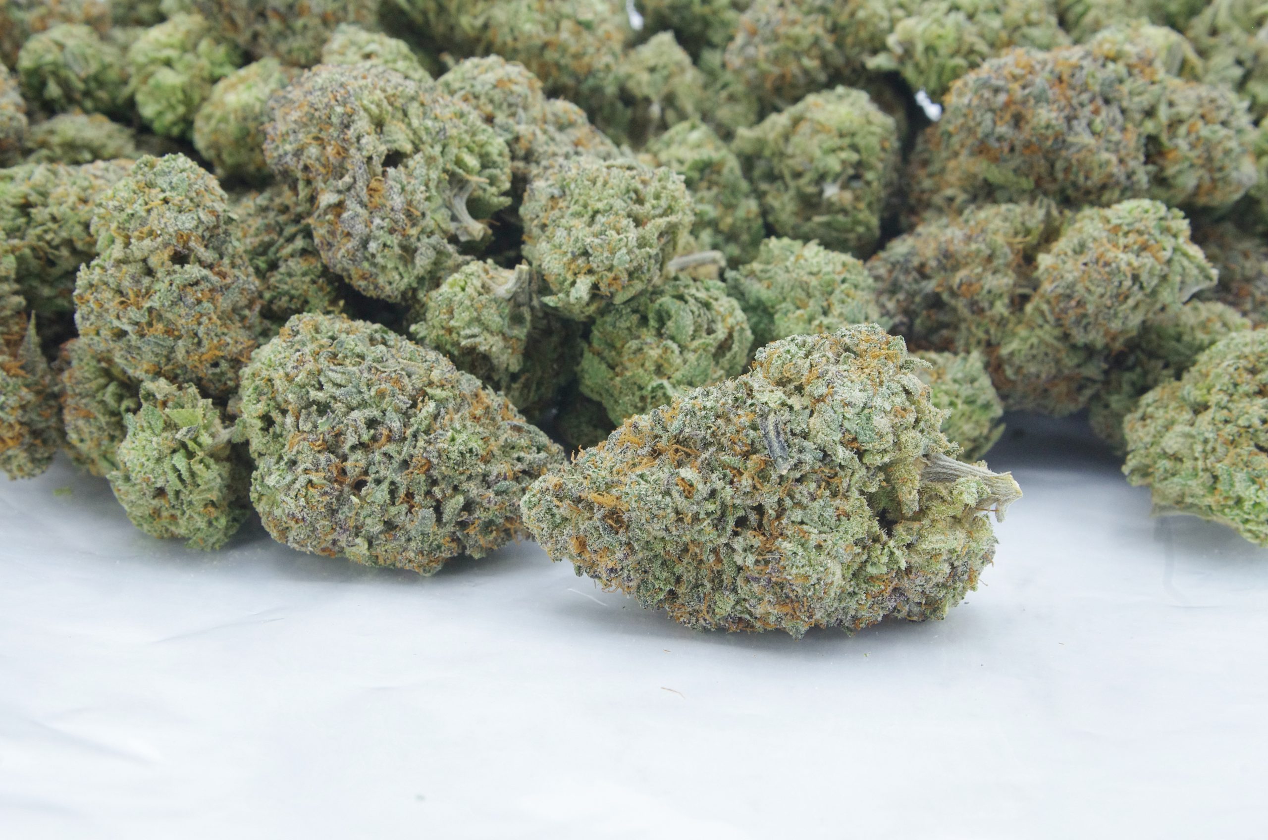 Kush Cookies Oz Special Hybrid anti-anxiety Kush Cookies Oz Special Hybrid anti-anxiety