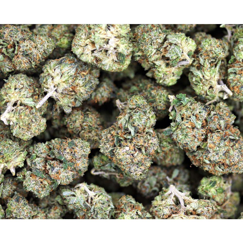 Death Bubba (1/2lb) Bulk Cannabis Flower Death Bubba (1/2lb) Bulk Cannabis Flower