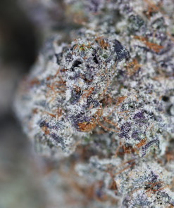 buy Double Kush Breath online