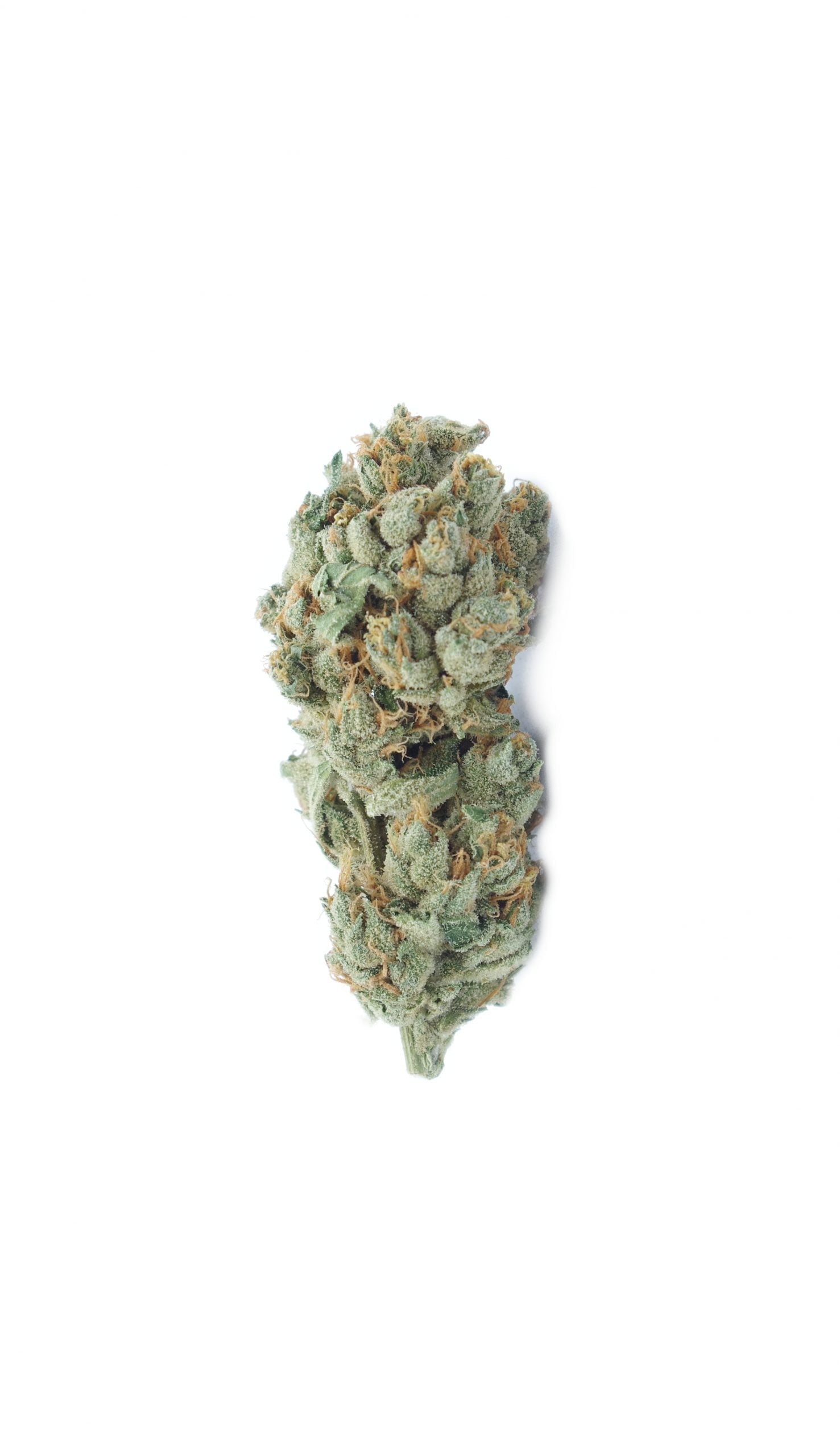 Dream Cake (Oz Special) Hybrid anti-anxiety Dream Cake (Oz Special) Hybrid anti-anxiety