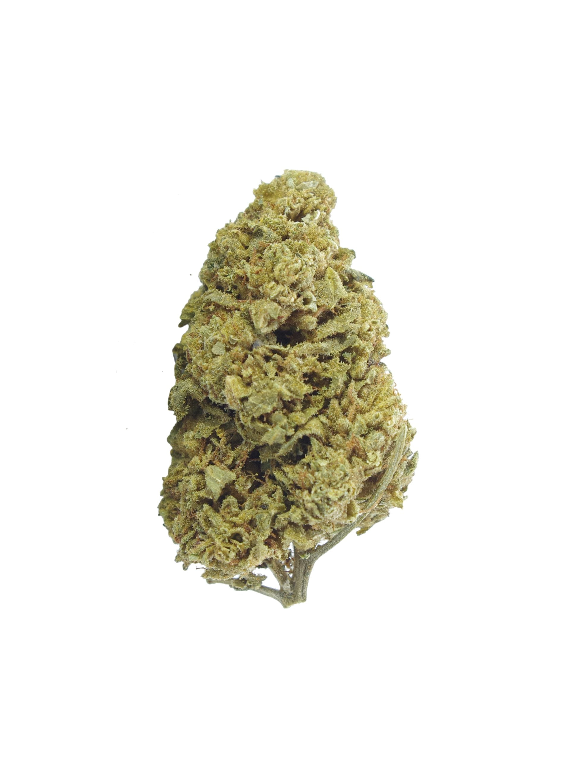 Earth OG Oz Special Hybrid anti-anxiety Earth OG Oz Special Hybrid anti-anxiety