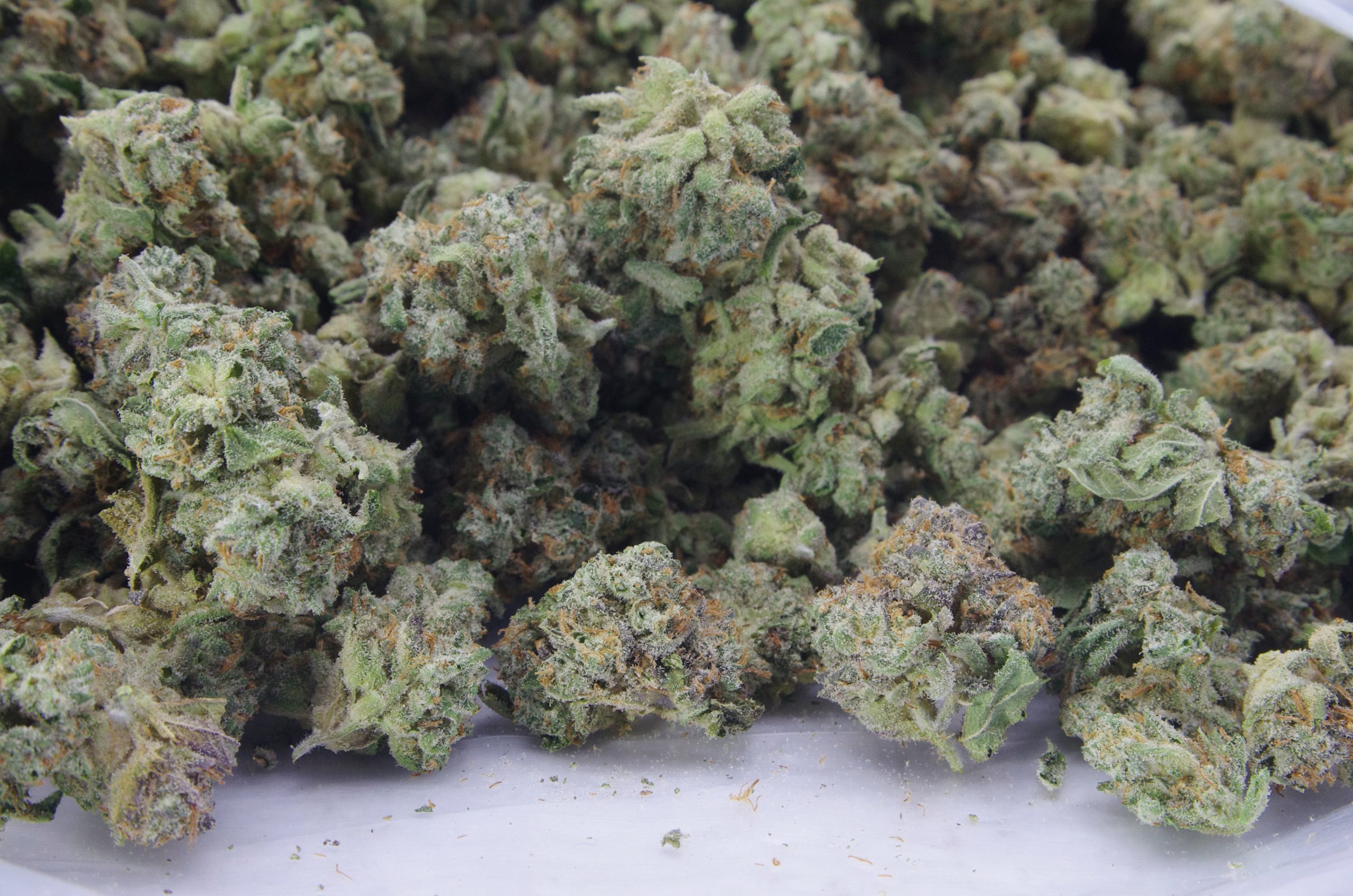 Frosted Fruitcake Mids Oz Special Indica anti-anxiety Frosted Fruitcake Mids Oz Special Indica anti-anxiety