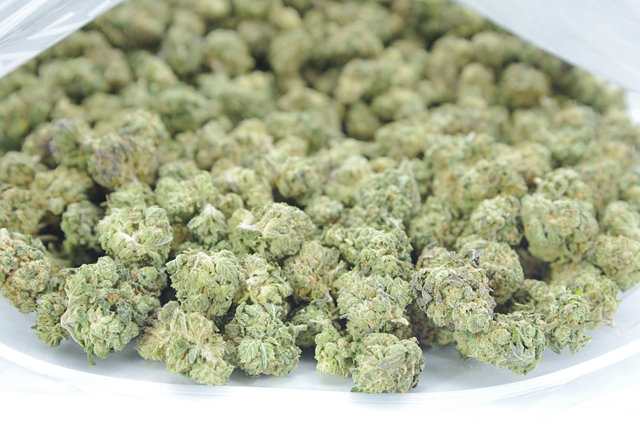 Fruity Pebbles Smalls Oz Special Hybrid anti-anxiety Fruity Pebbles Smalls Oz Special Hybrid anti-anxiety