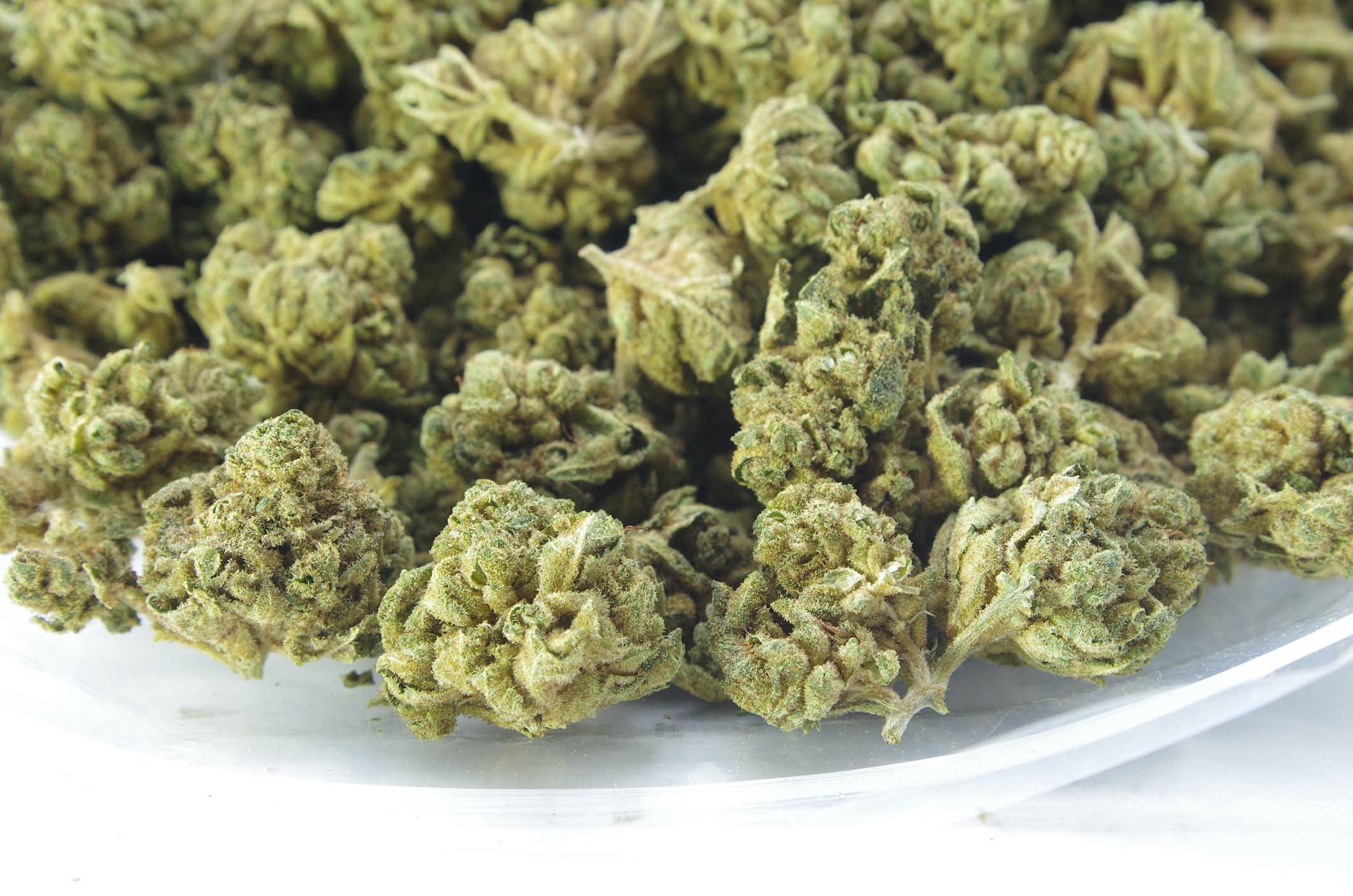 Gorilla Glue #4 Oz Special Indica anti-anxiety Gorilla Glue #4 Oz Special Indica anti-anxiety
